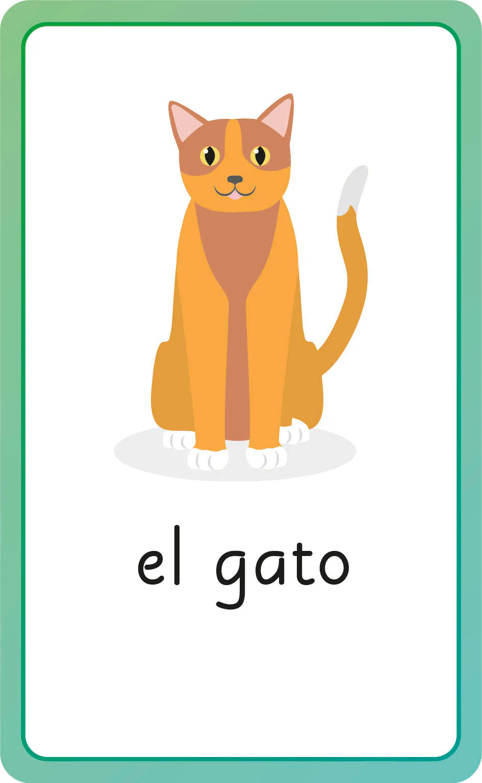 Spanish for Everyone Junior First Words Flash Cards - Image 12