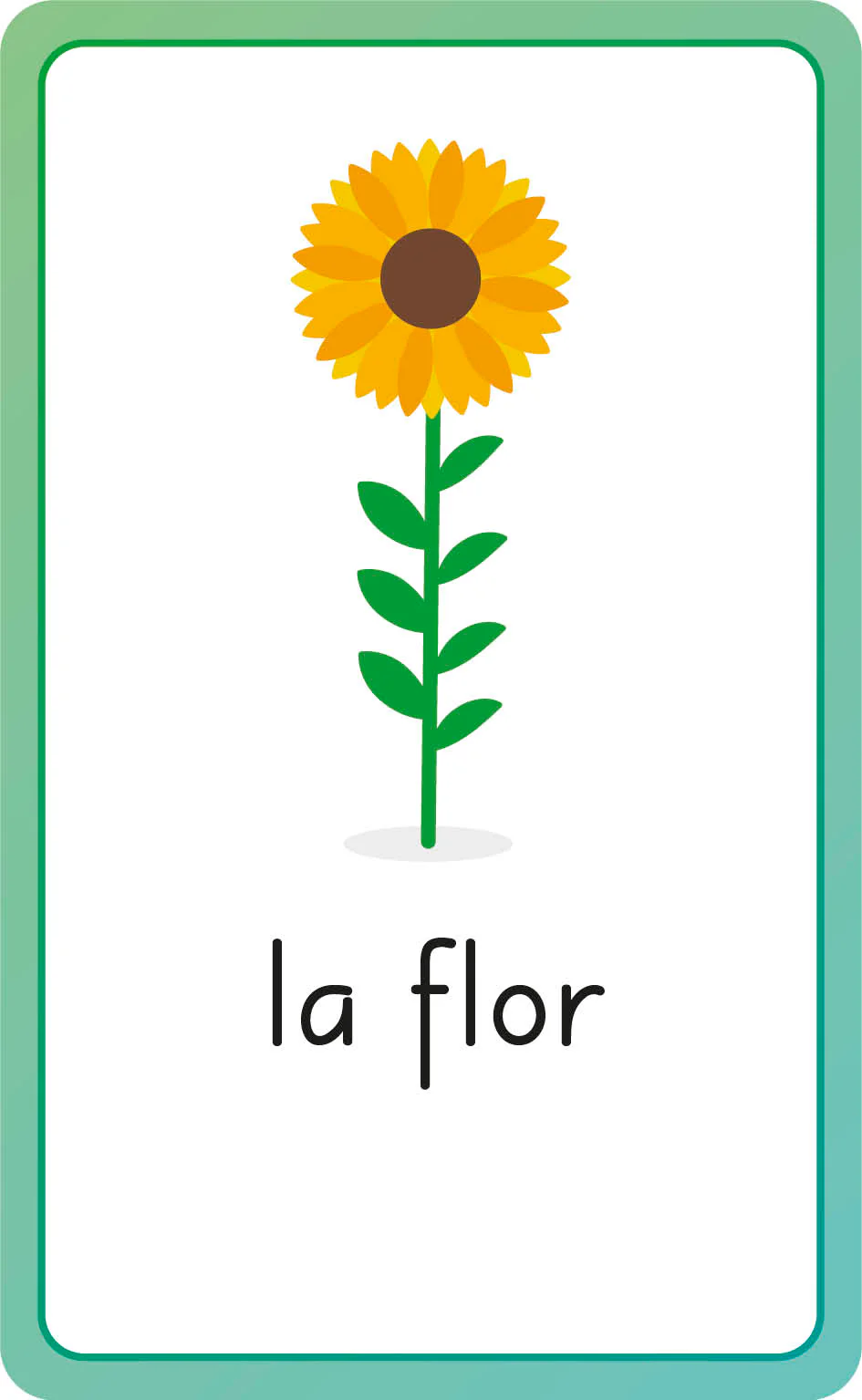 Spanish for Everyone Junior First Words Flash Cards - Image 14