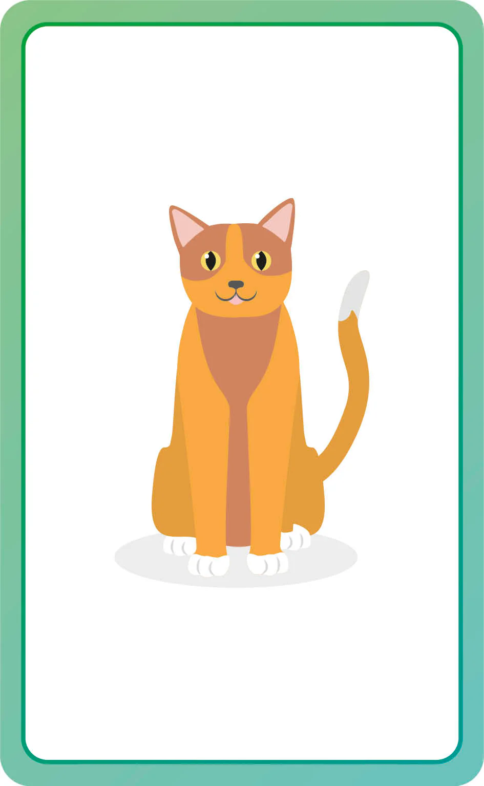 Spanish for Everyone Junior First Words Flash Cards - Image 3