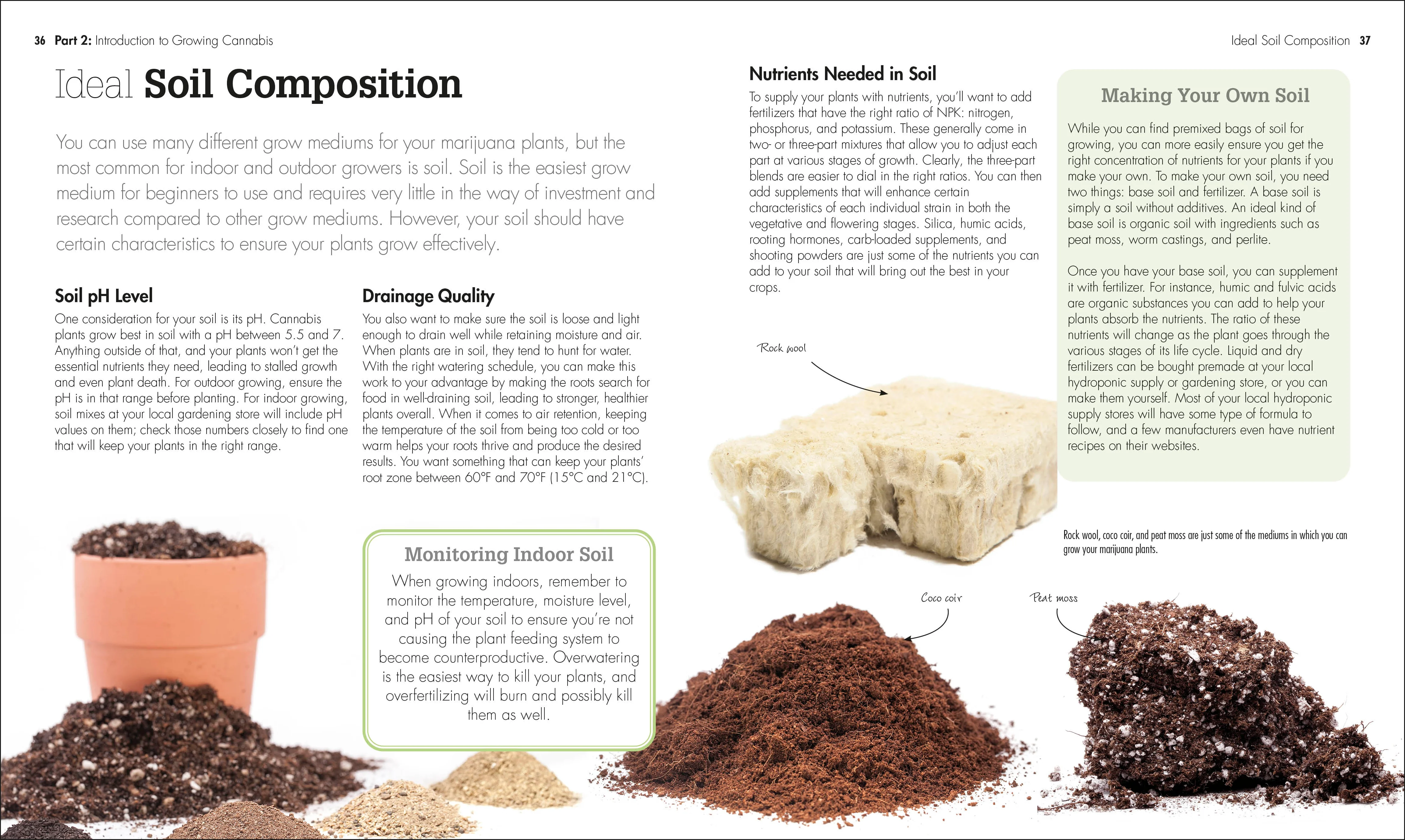 Cannabis - Image 2