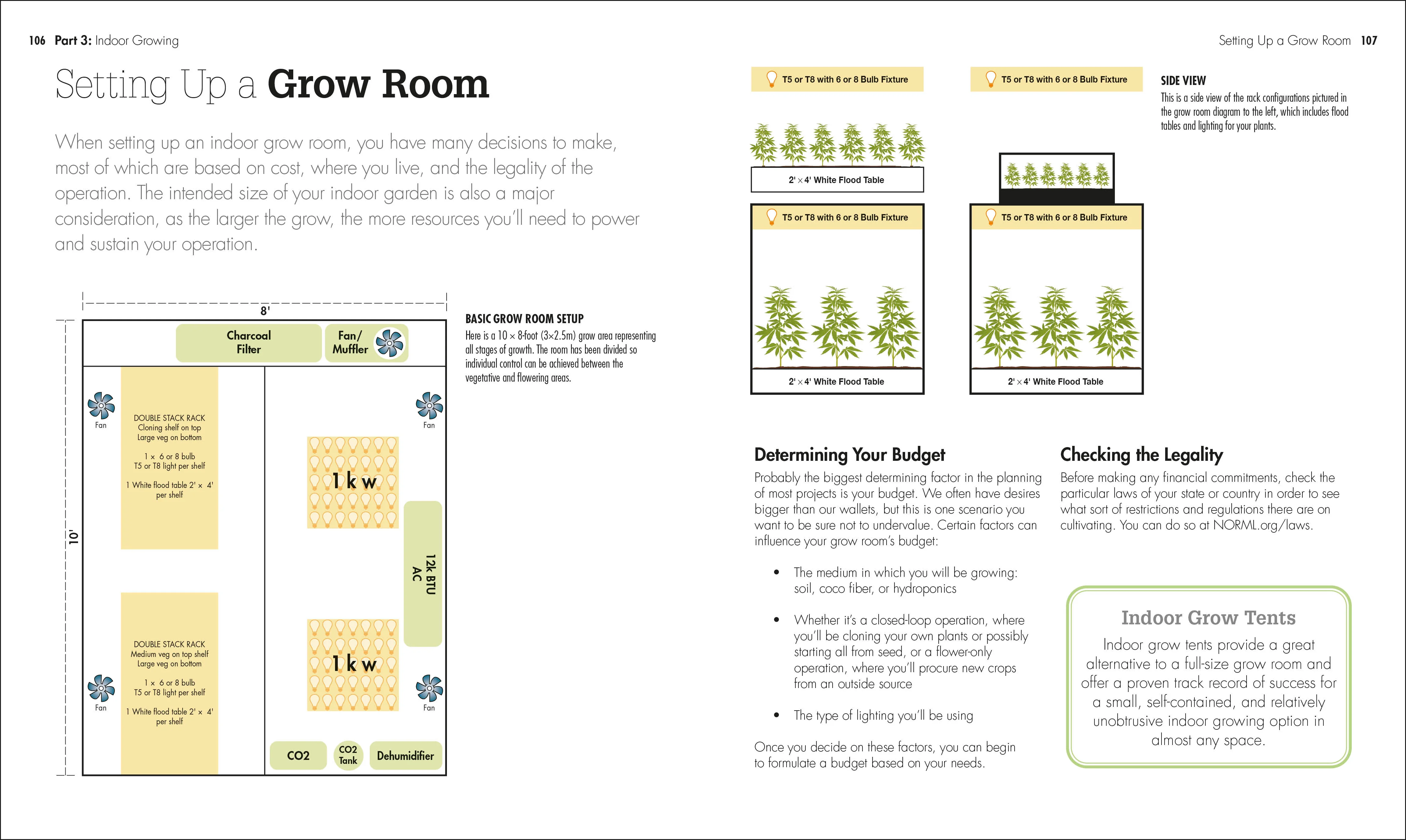 Cannabis - Image 4