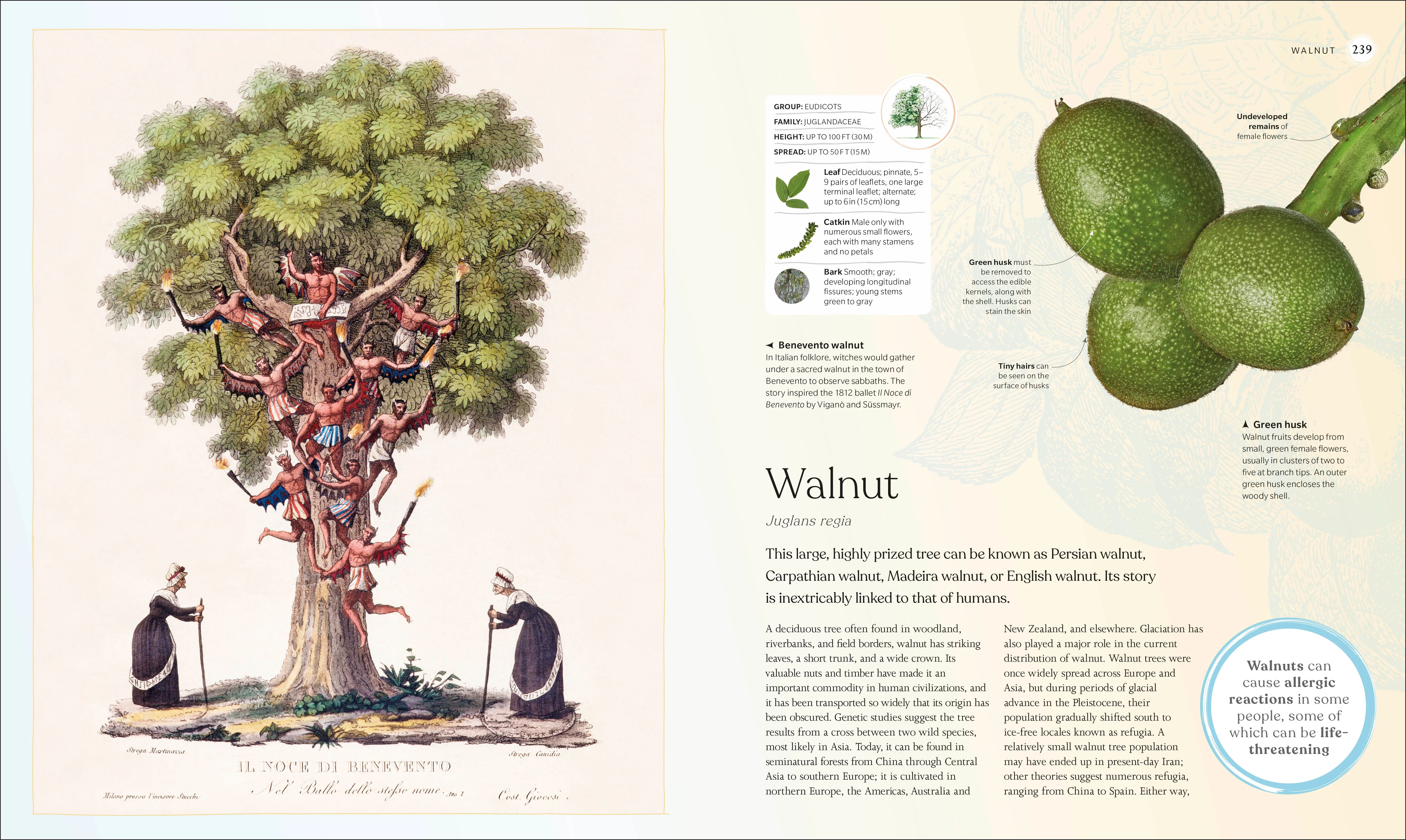 The Tree Book - Image 12