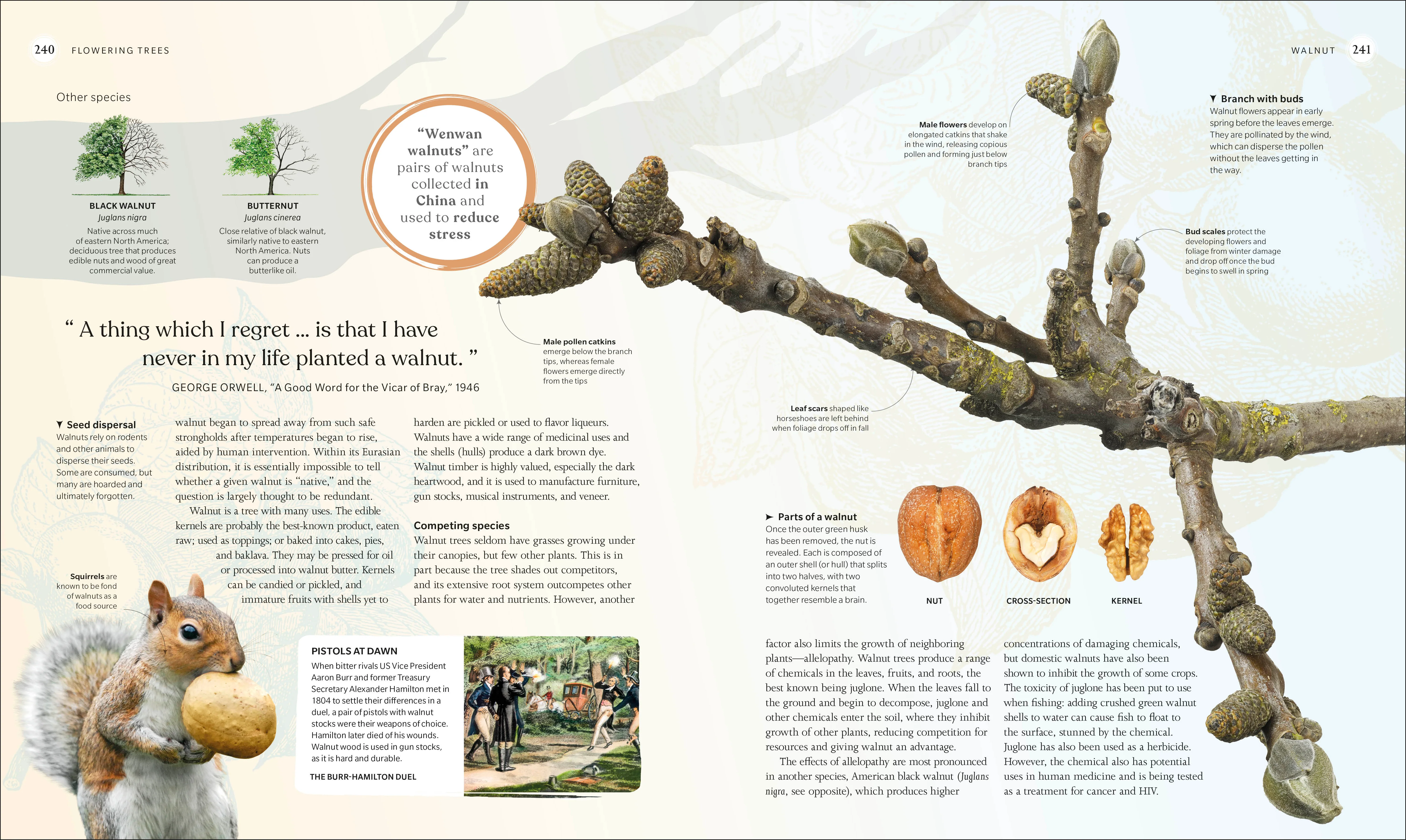 The Tree Book - Image 13
