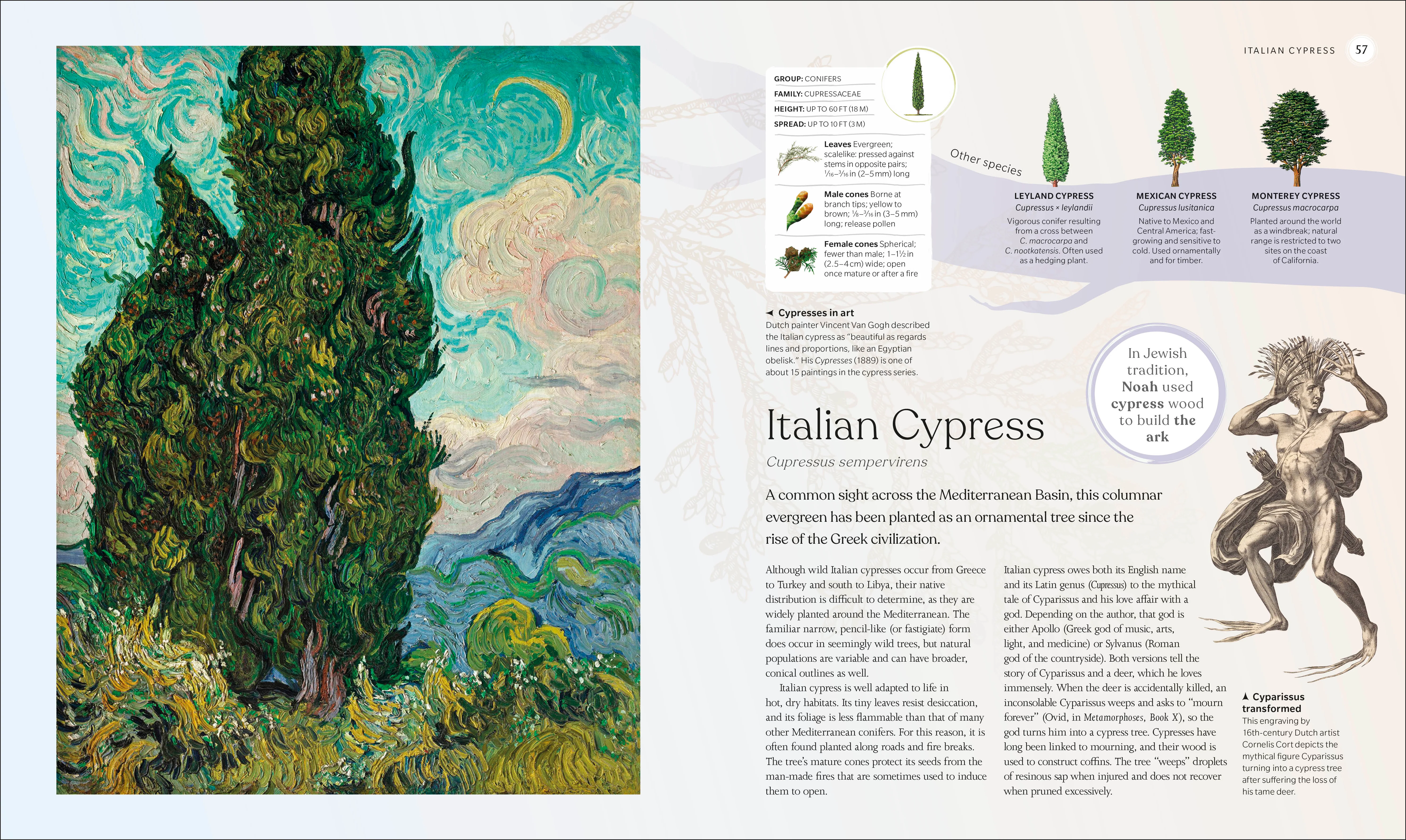 The Tree Book - Image 2