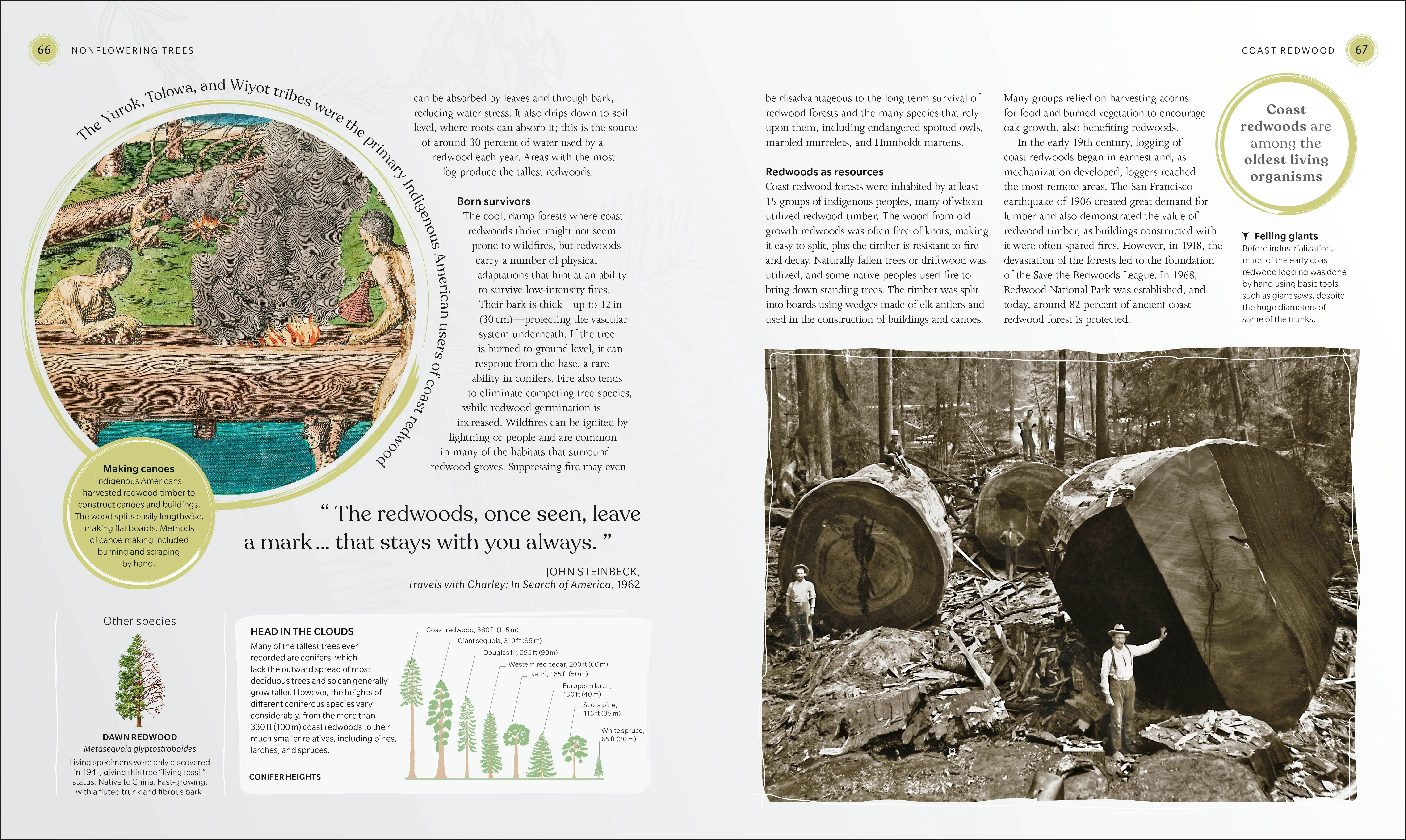 The Tree Book - Image 4