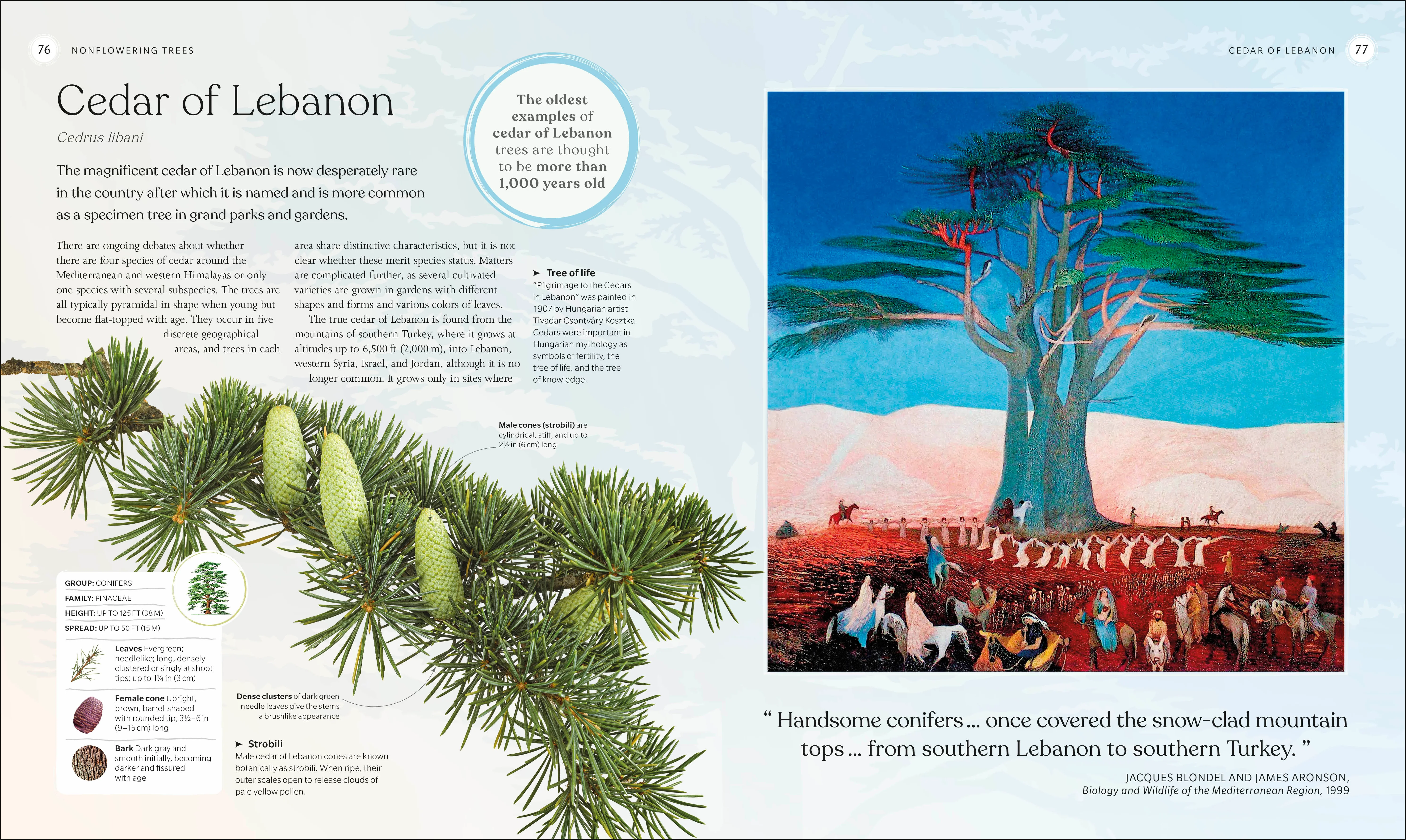 The Tree Book - Image 5