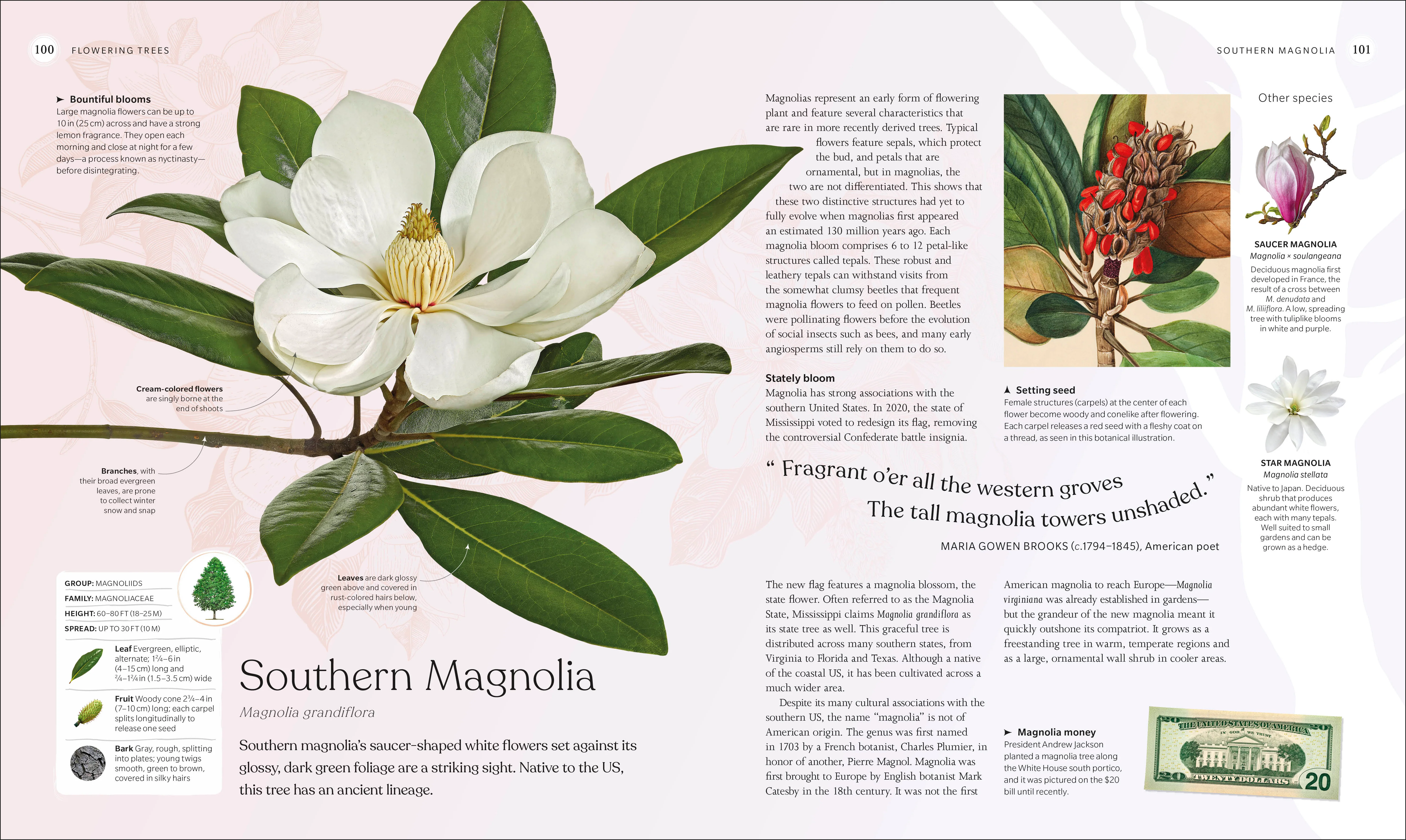 The Tree Book - Image 7
