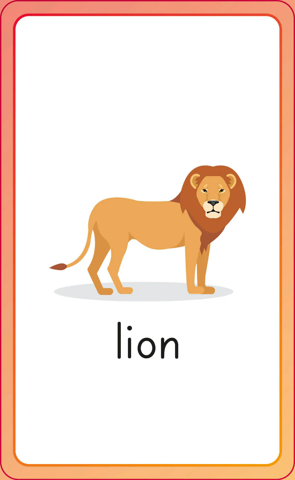 English for Everyone Junior First Words Animals Flash Cards - Image 16