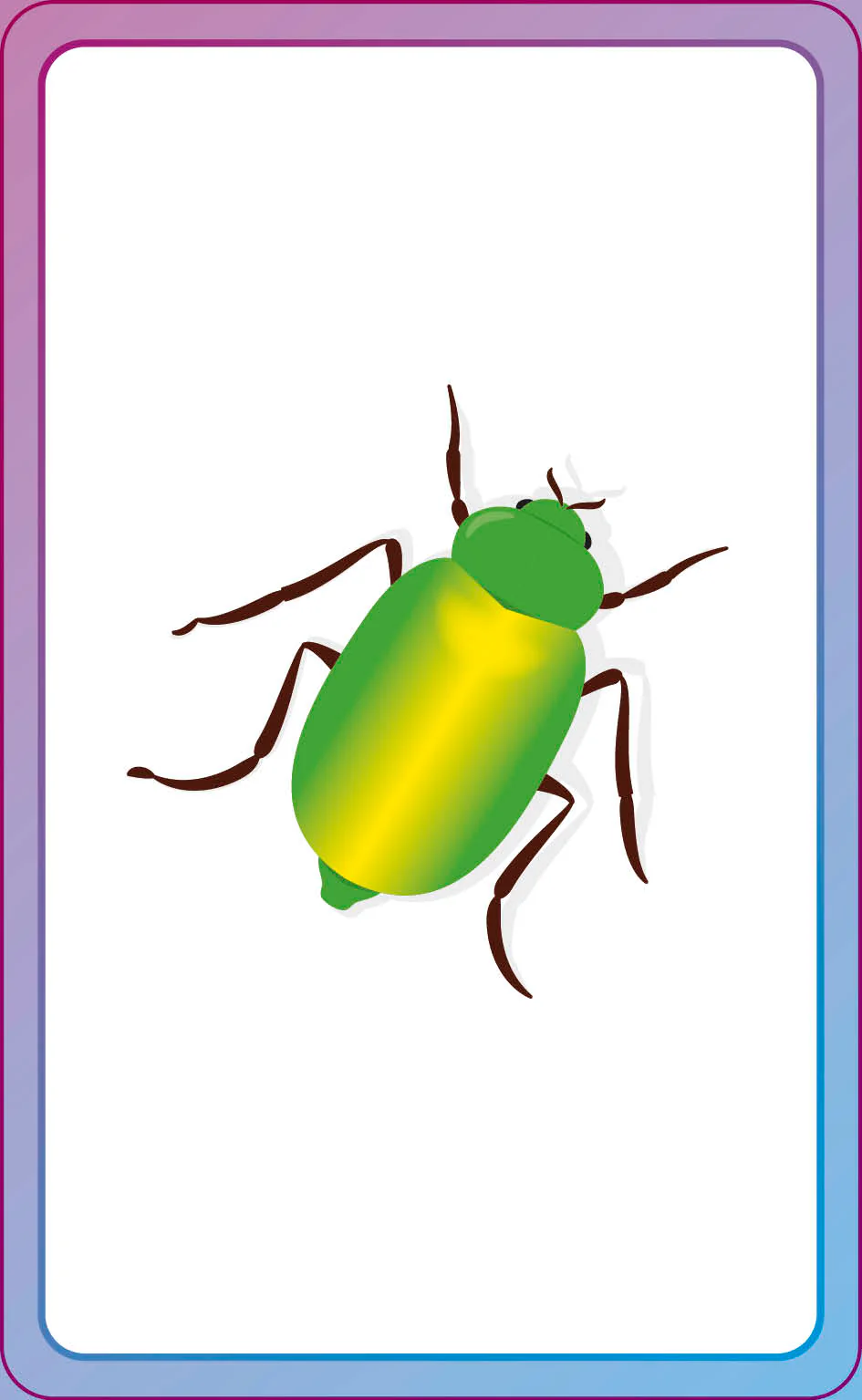English for Everyone Junior First Words Animals Flash Cards - Image 19