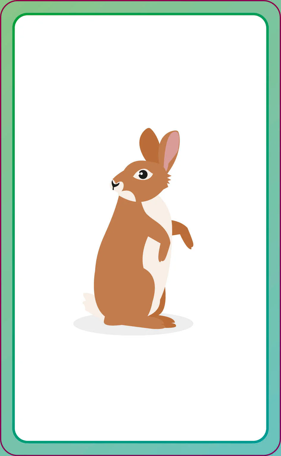 English for Everyone Junior First Words Animals Flash Cards - Image 21