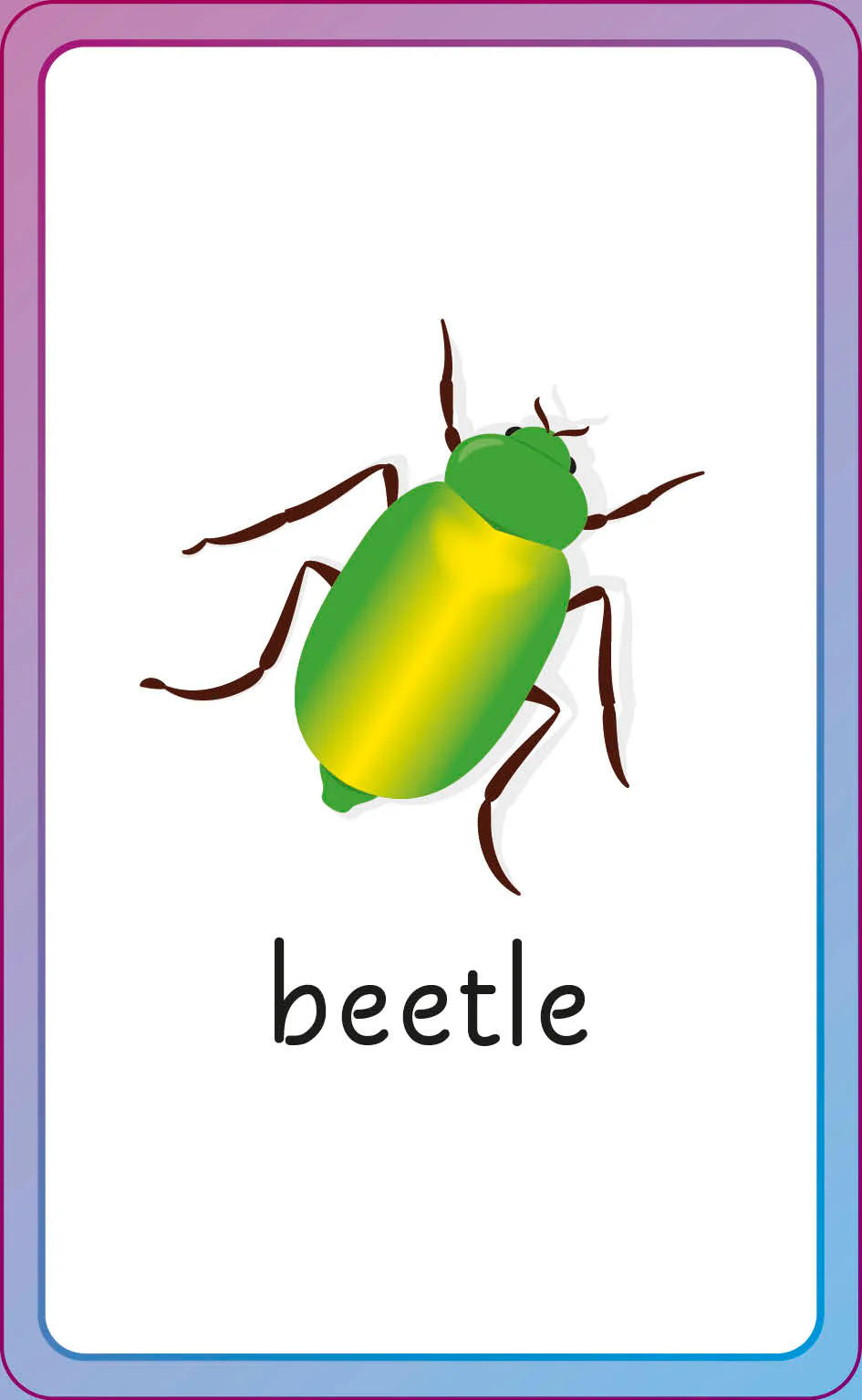 English for Everyone Junior First Words Animals Flash Cards - Image 6