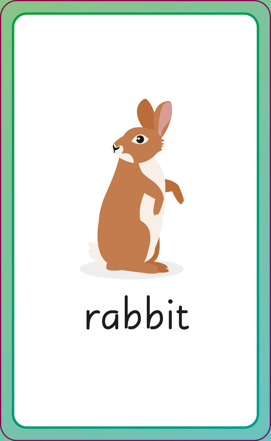 English for Everyone Junior First Words Animals Flash Cards - Image 8