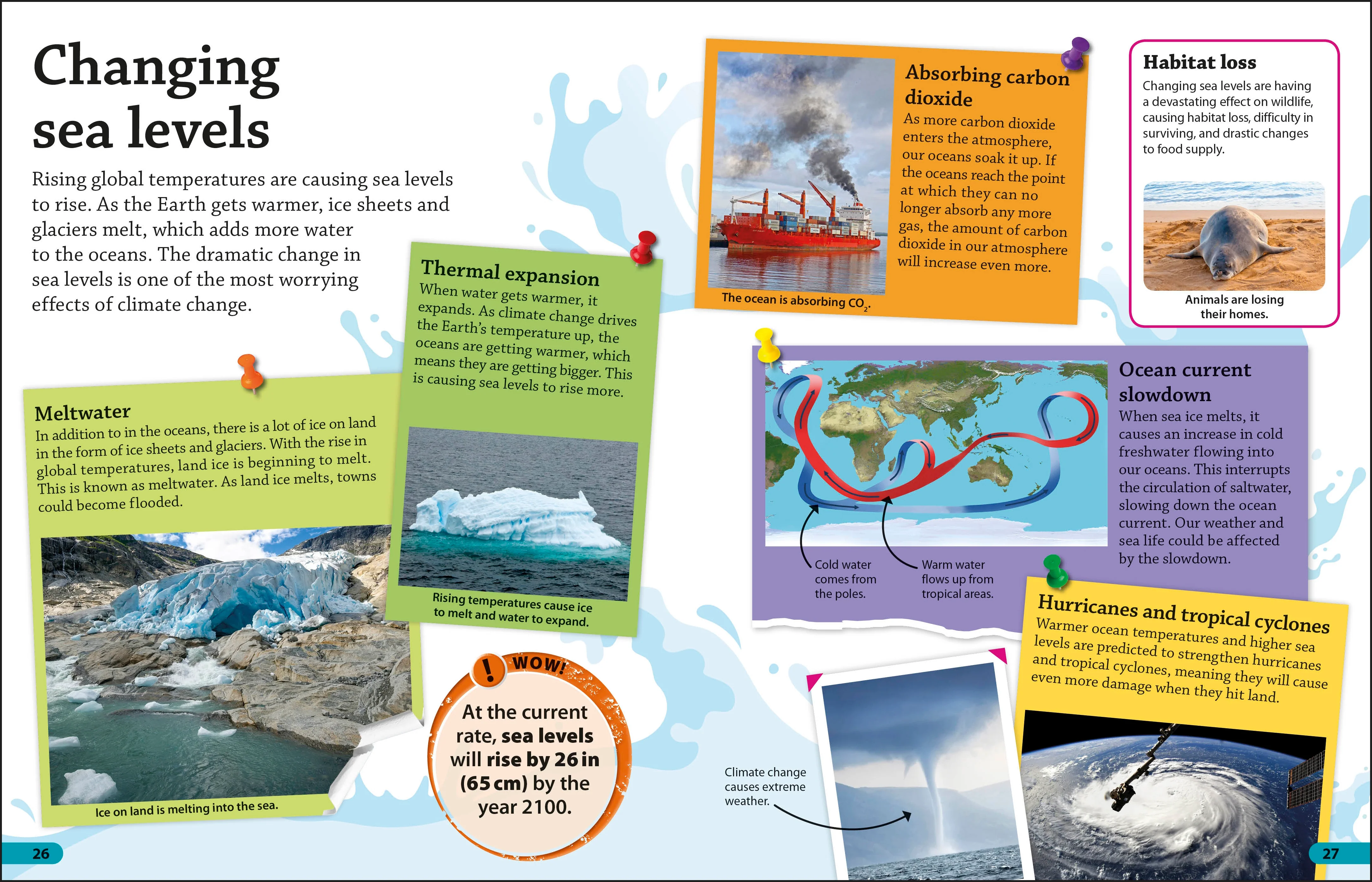 DK IB Collection: Primary Years Programme (PYP) - Image 7