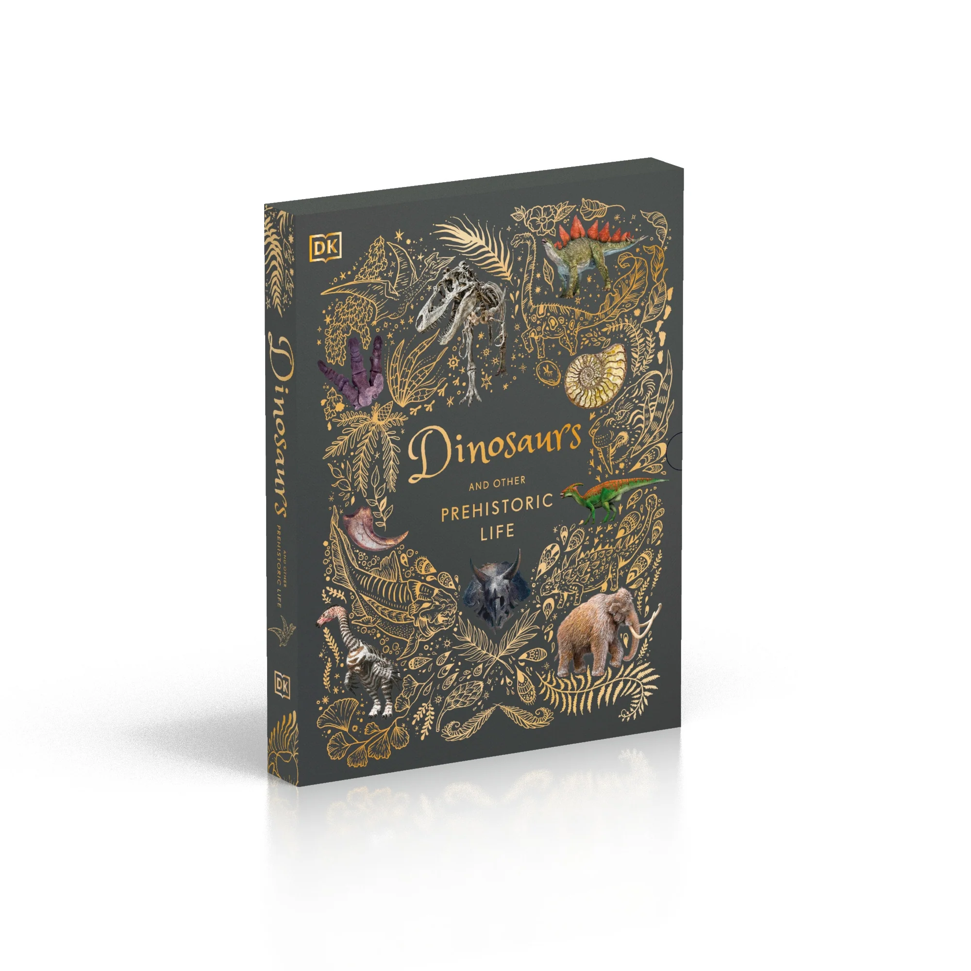 Dinosaurs and Other Prehistoric Life Slipcase
