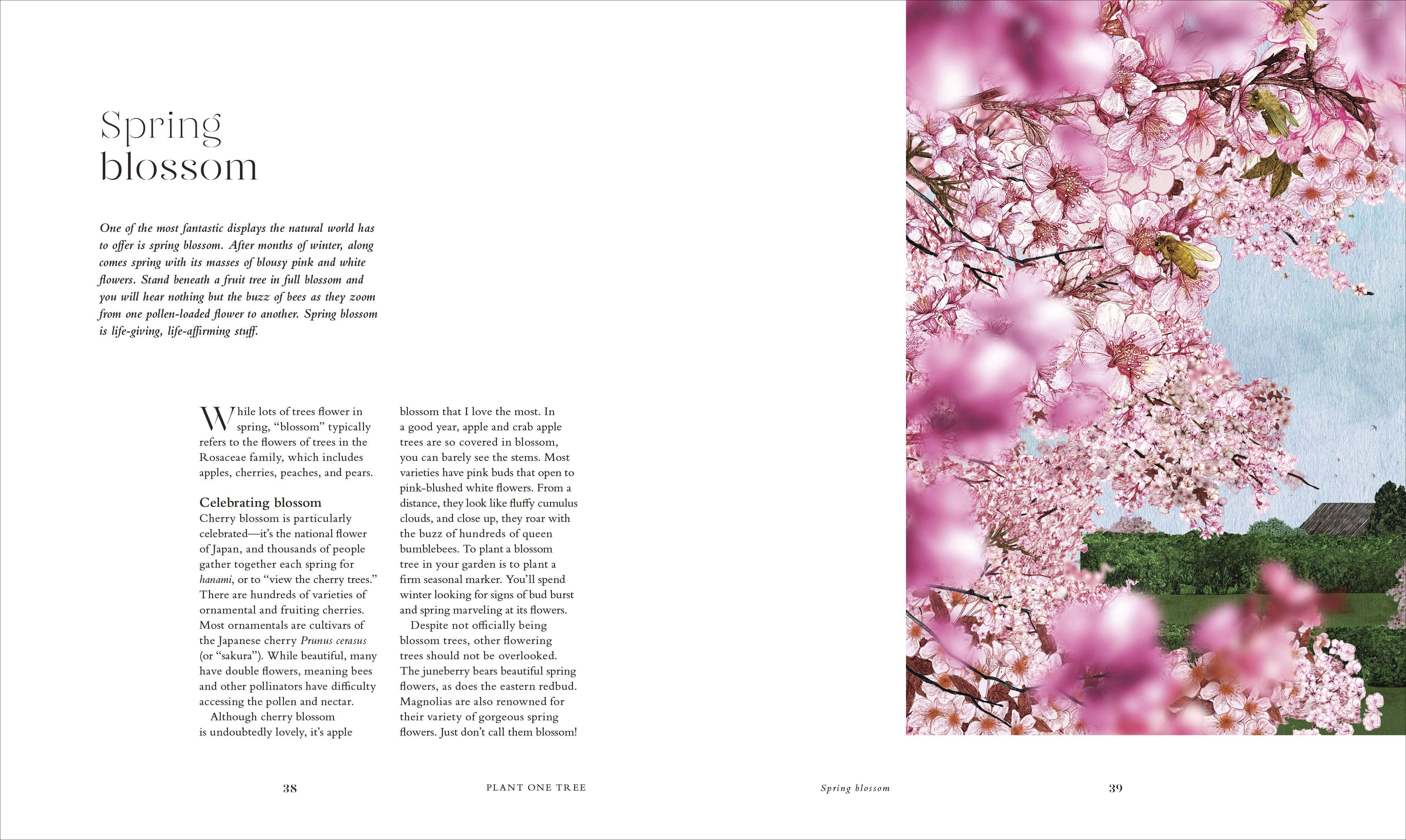 The Tree in My Garden - Image 4