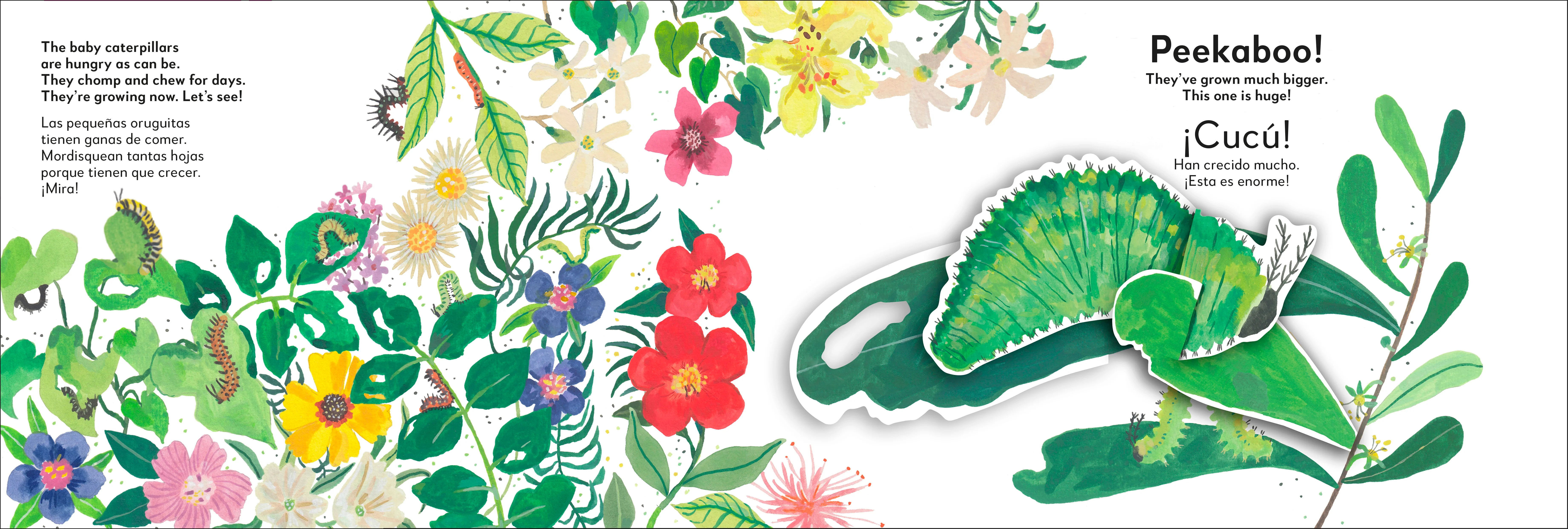 Bilingual Pop-Up Peekaboo! Butterfly - La mariposa - Image 3