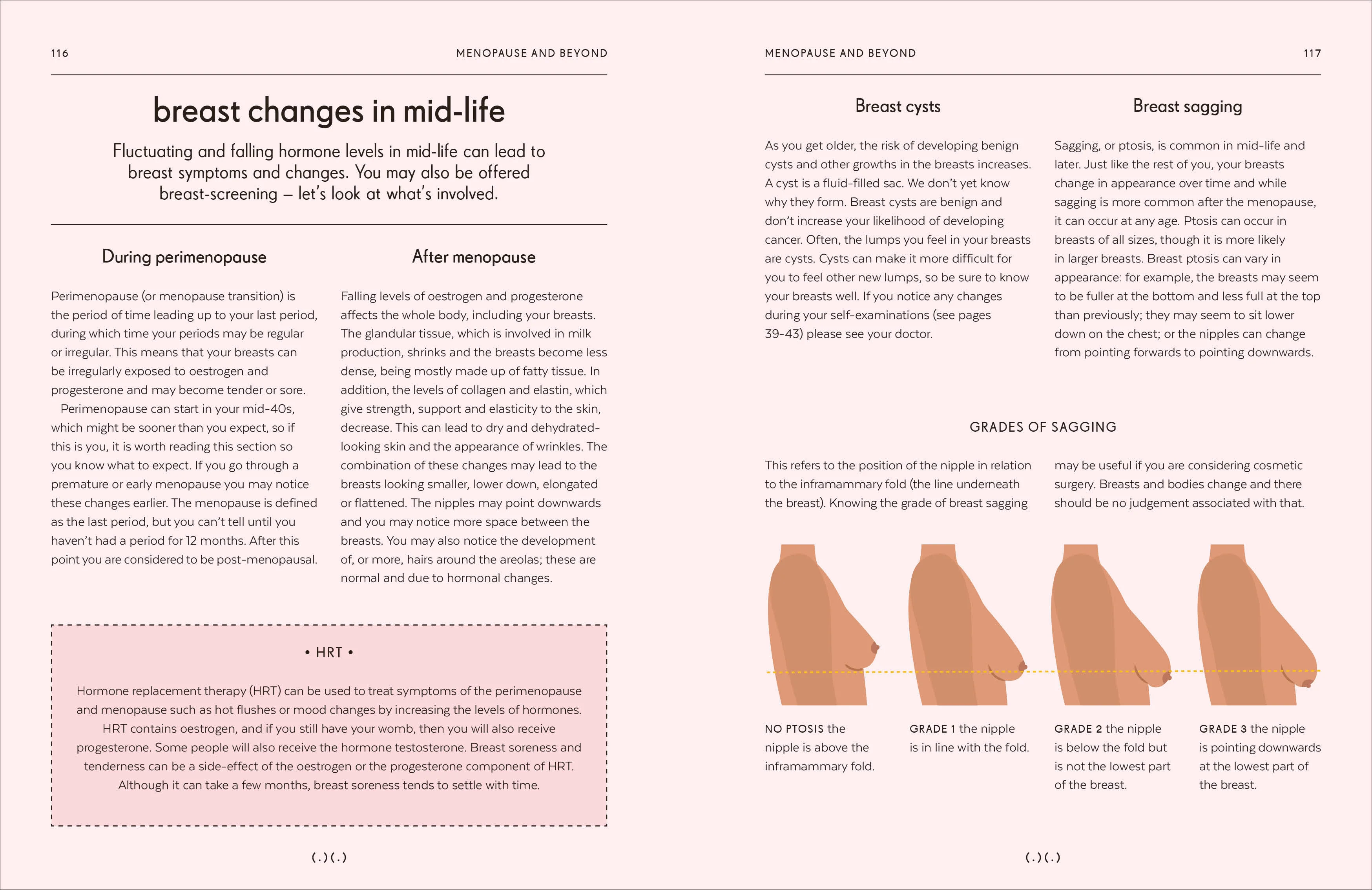 Breasts - Image 13