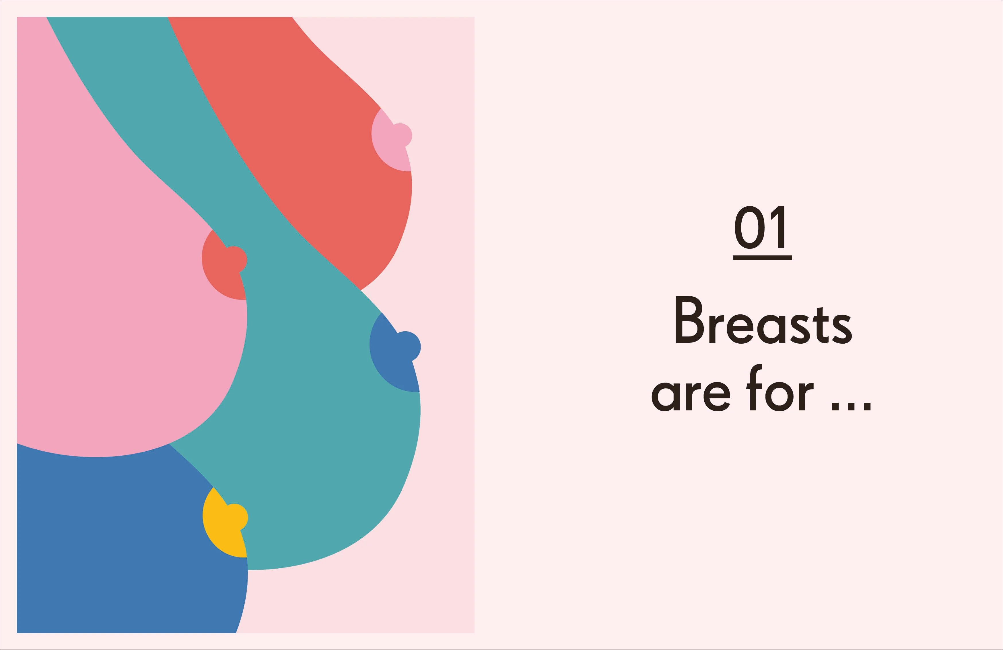Breasts - Image 3