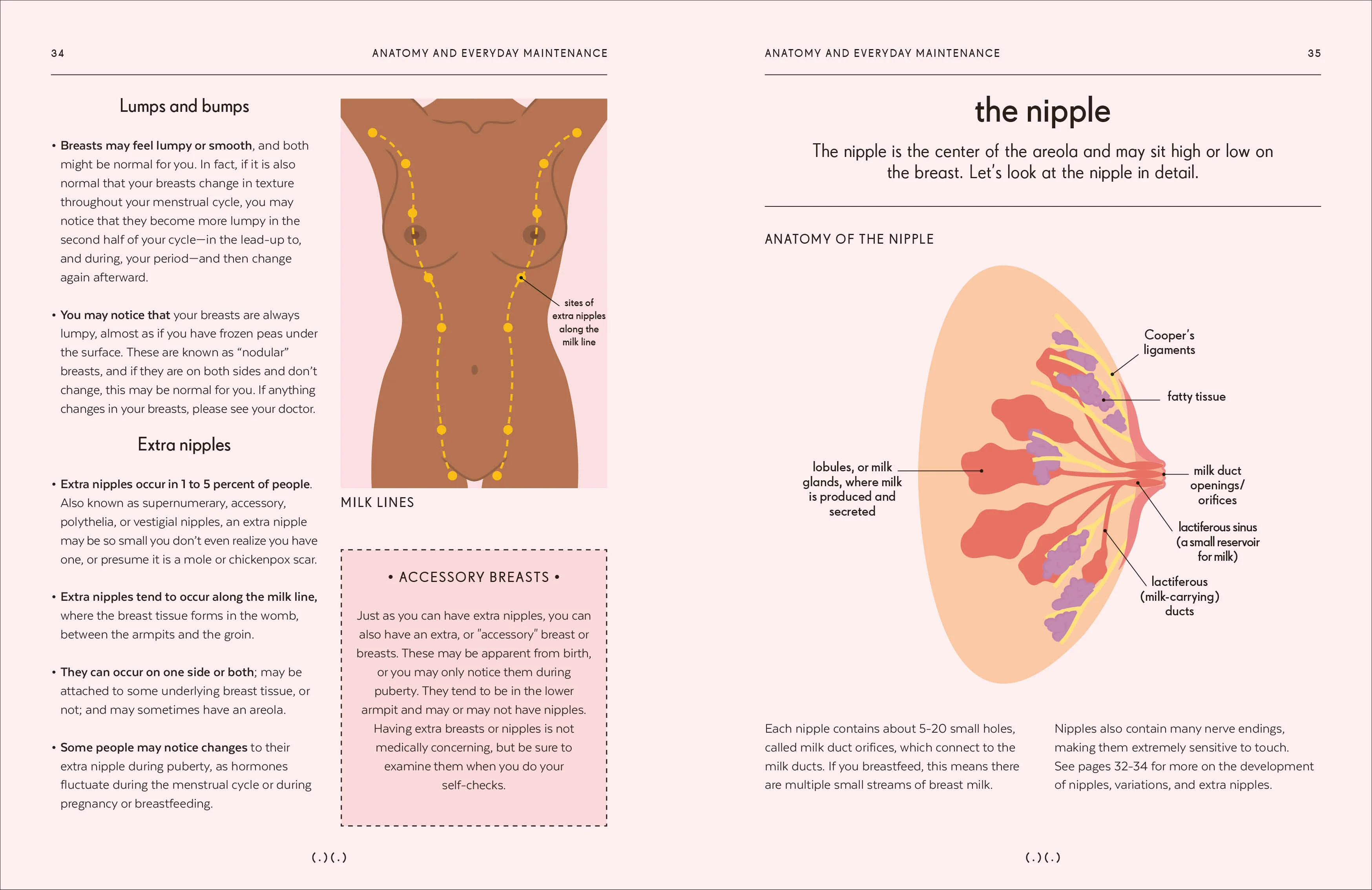 Breasts - Image 4