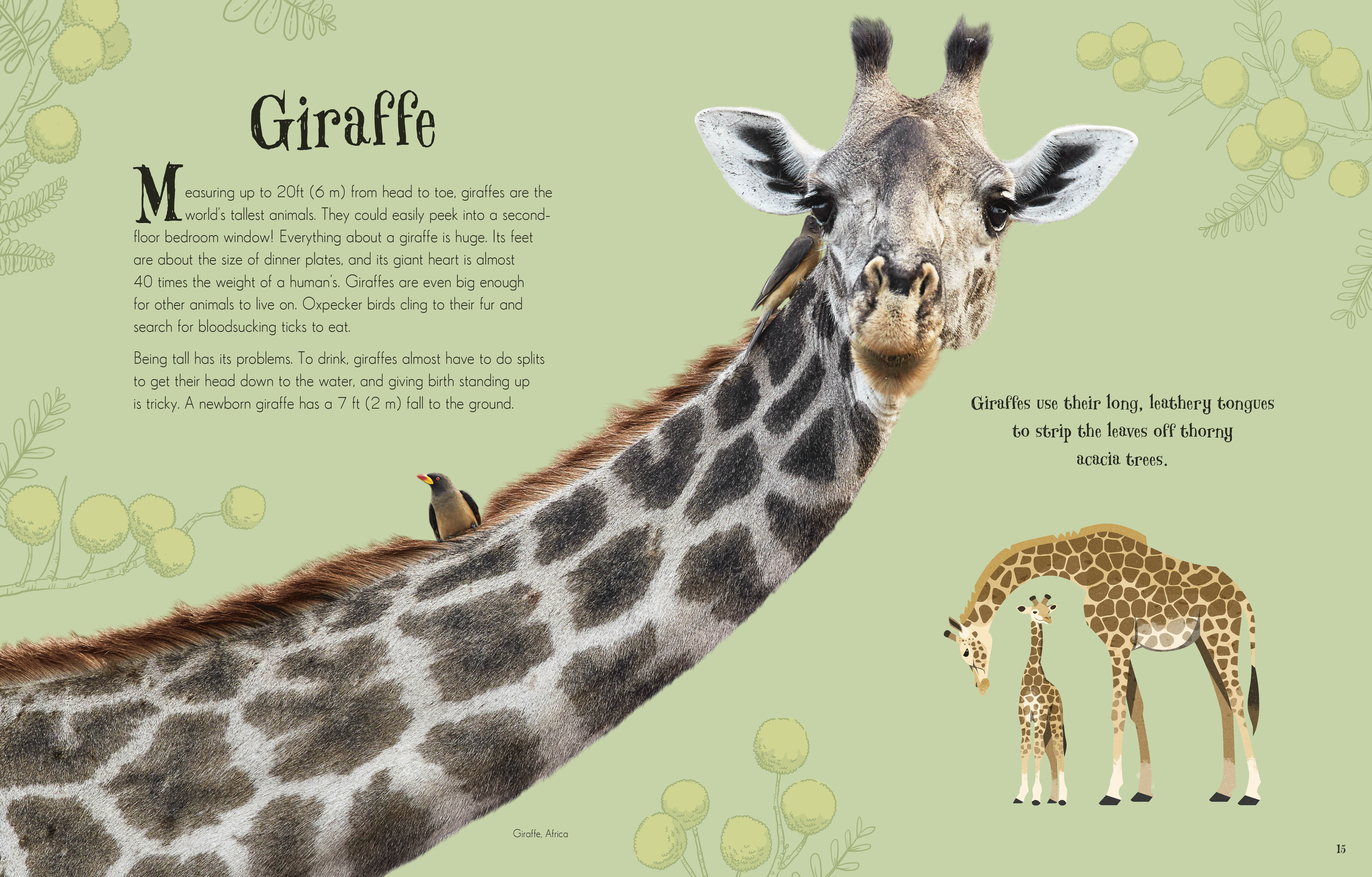 Children's Anthologies Collection - Image 2