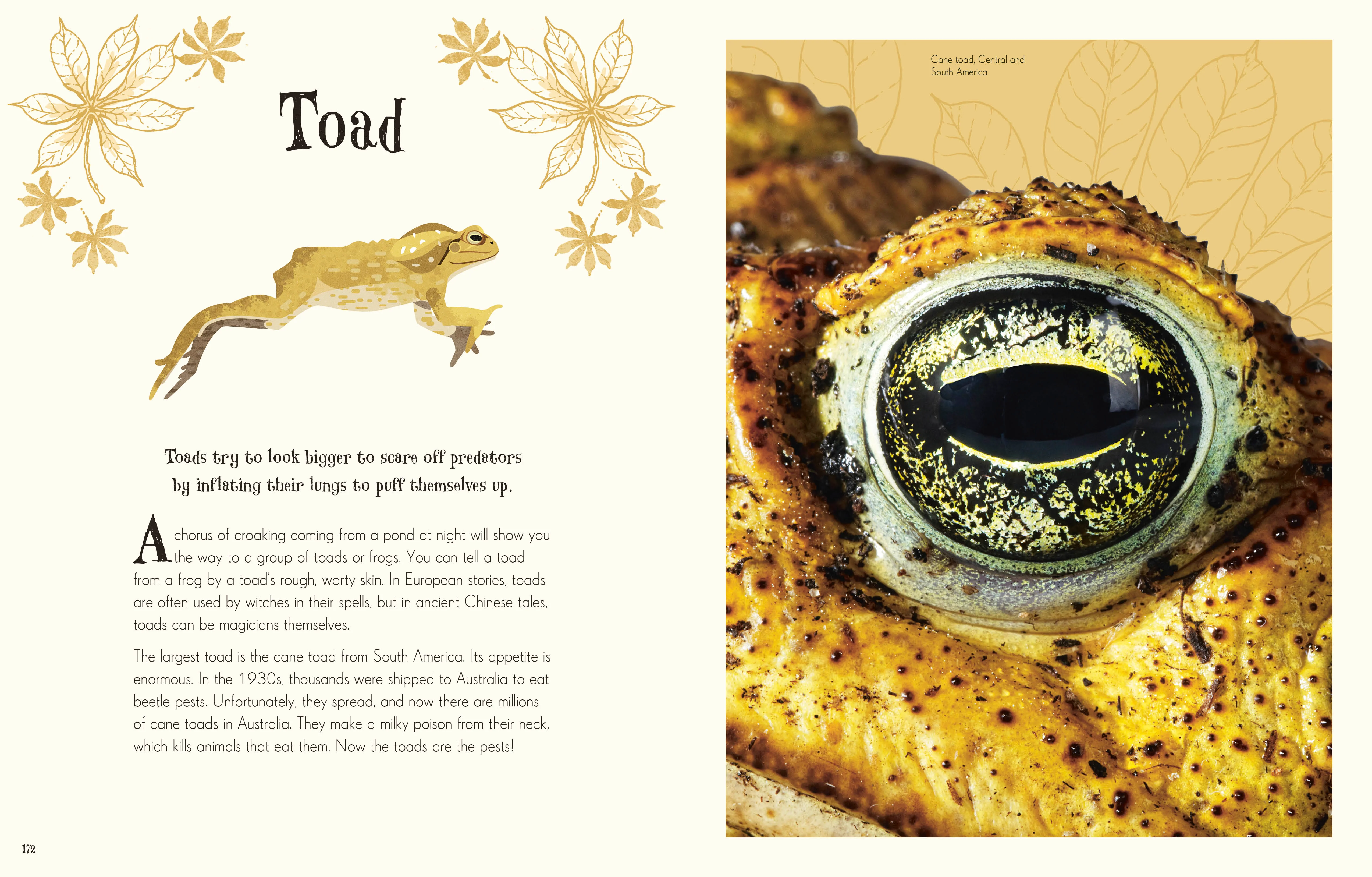 Children's Anthologies Collection - Image 7