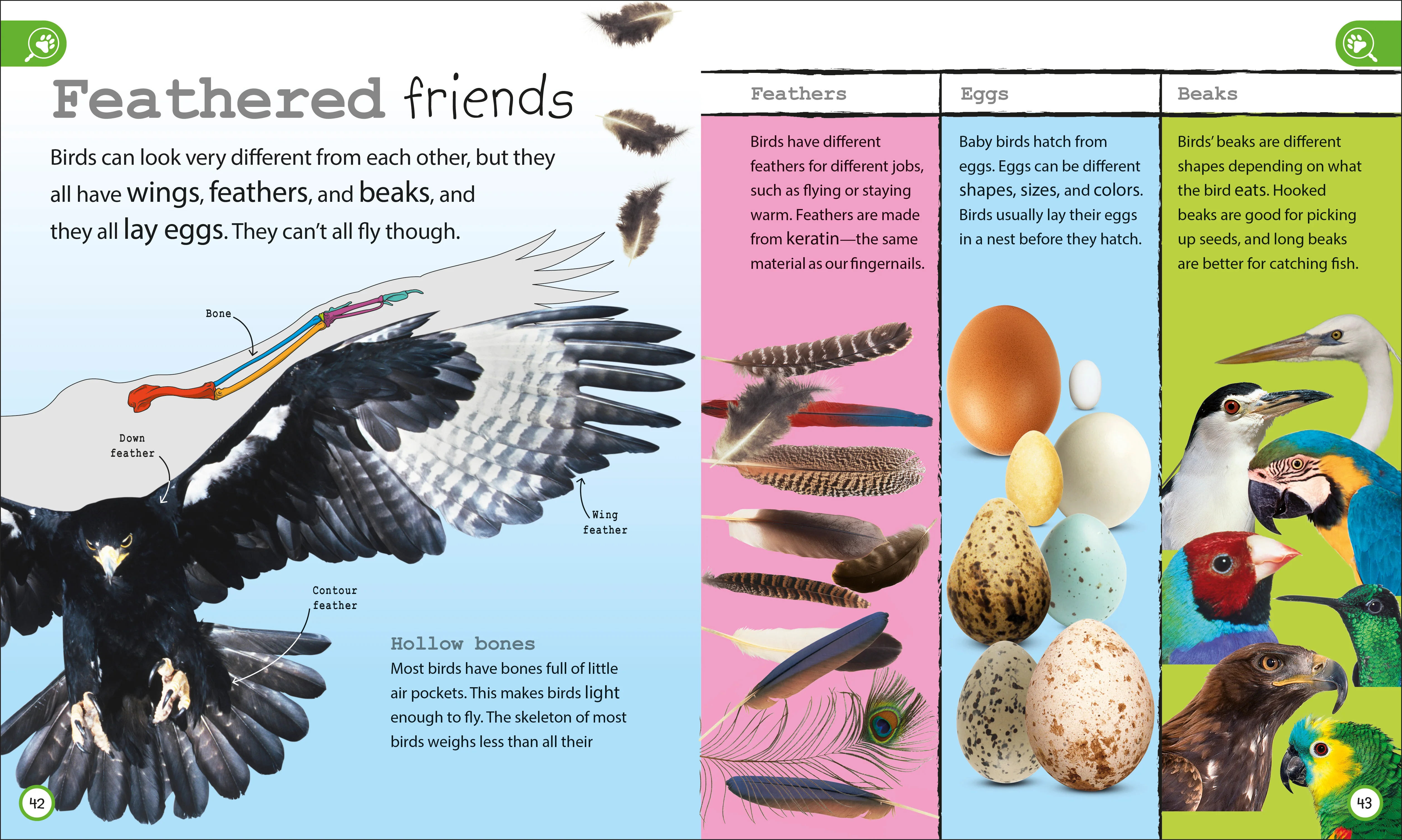 My Encyclopedia of Very Important Things Collection - Image 4