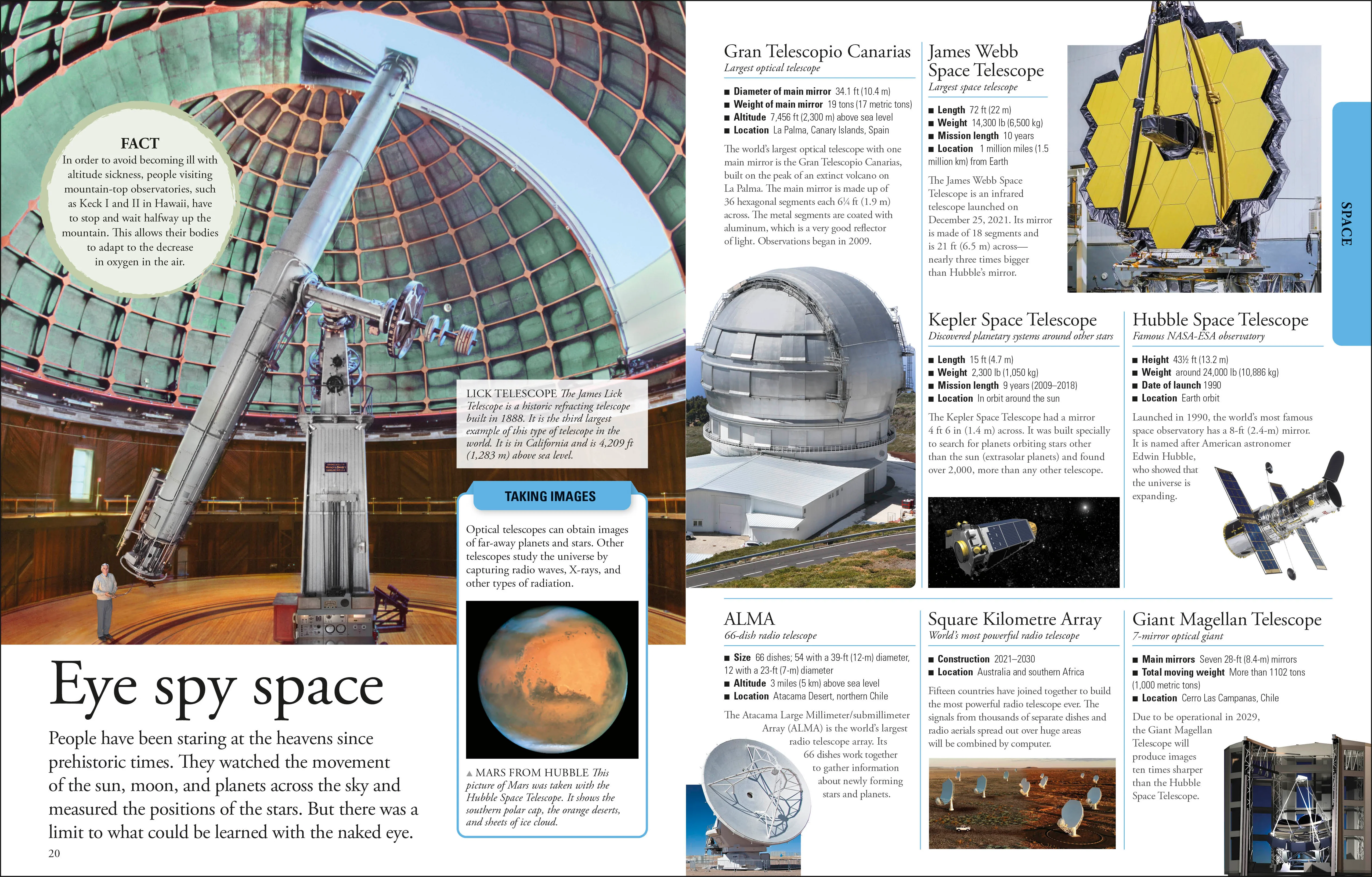 The New Children's Encyclopedia - Image 2