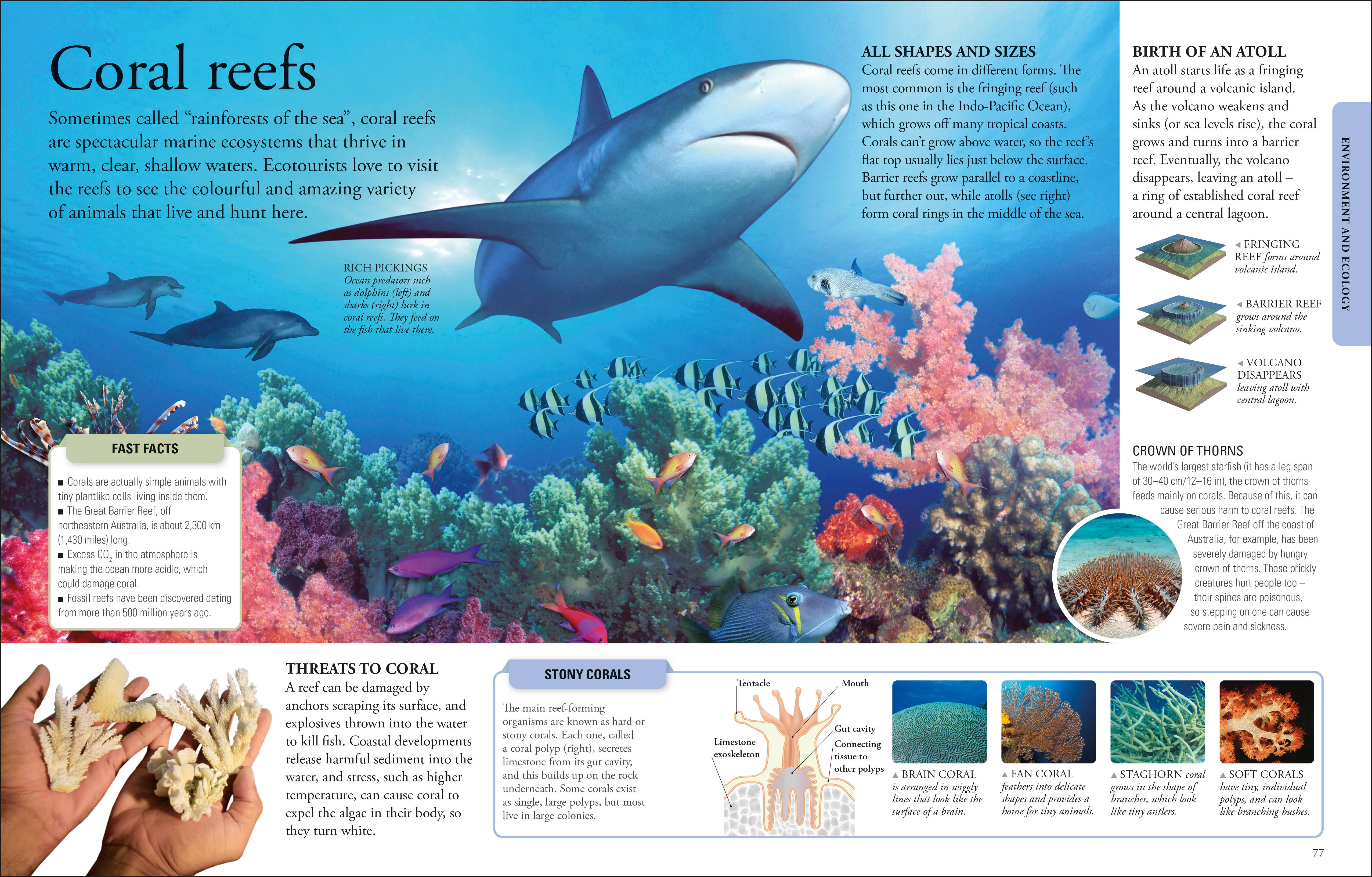 The New Children's Encyclopedia - Image 8