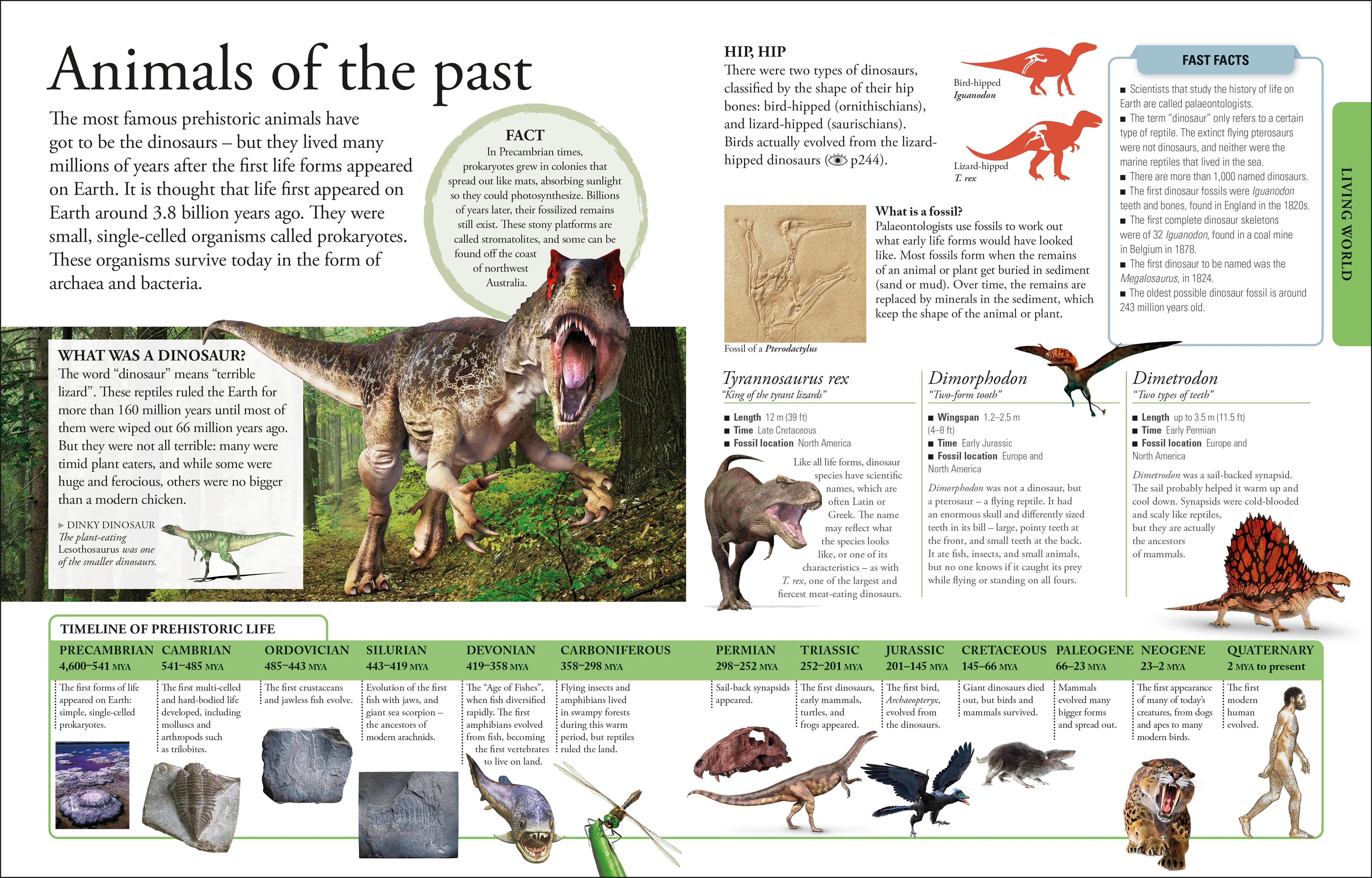 The New Children's Encyclopedia - Image 9