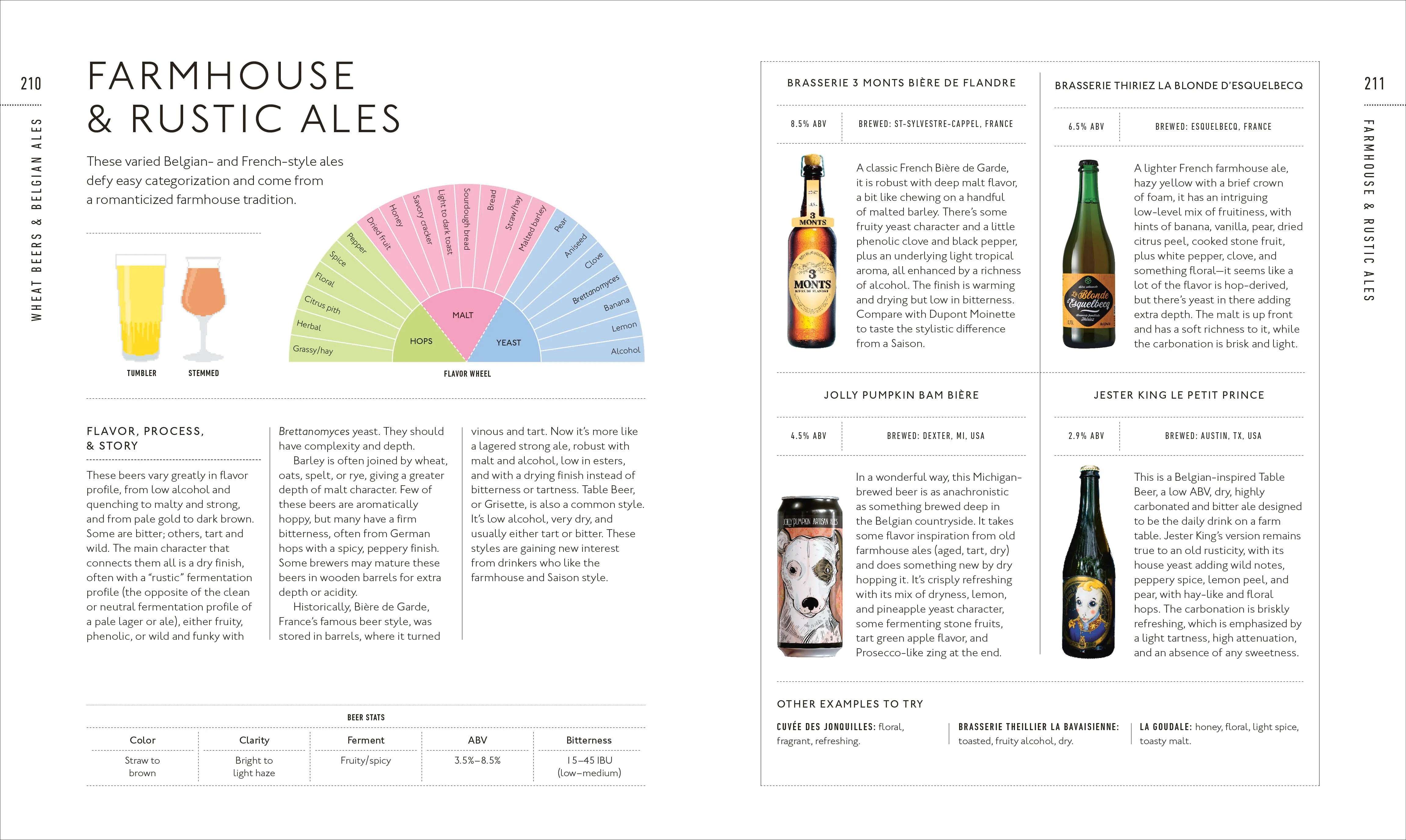 Beer A Tasting Course - Image 7