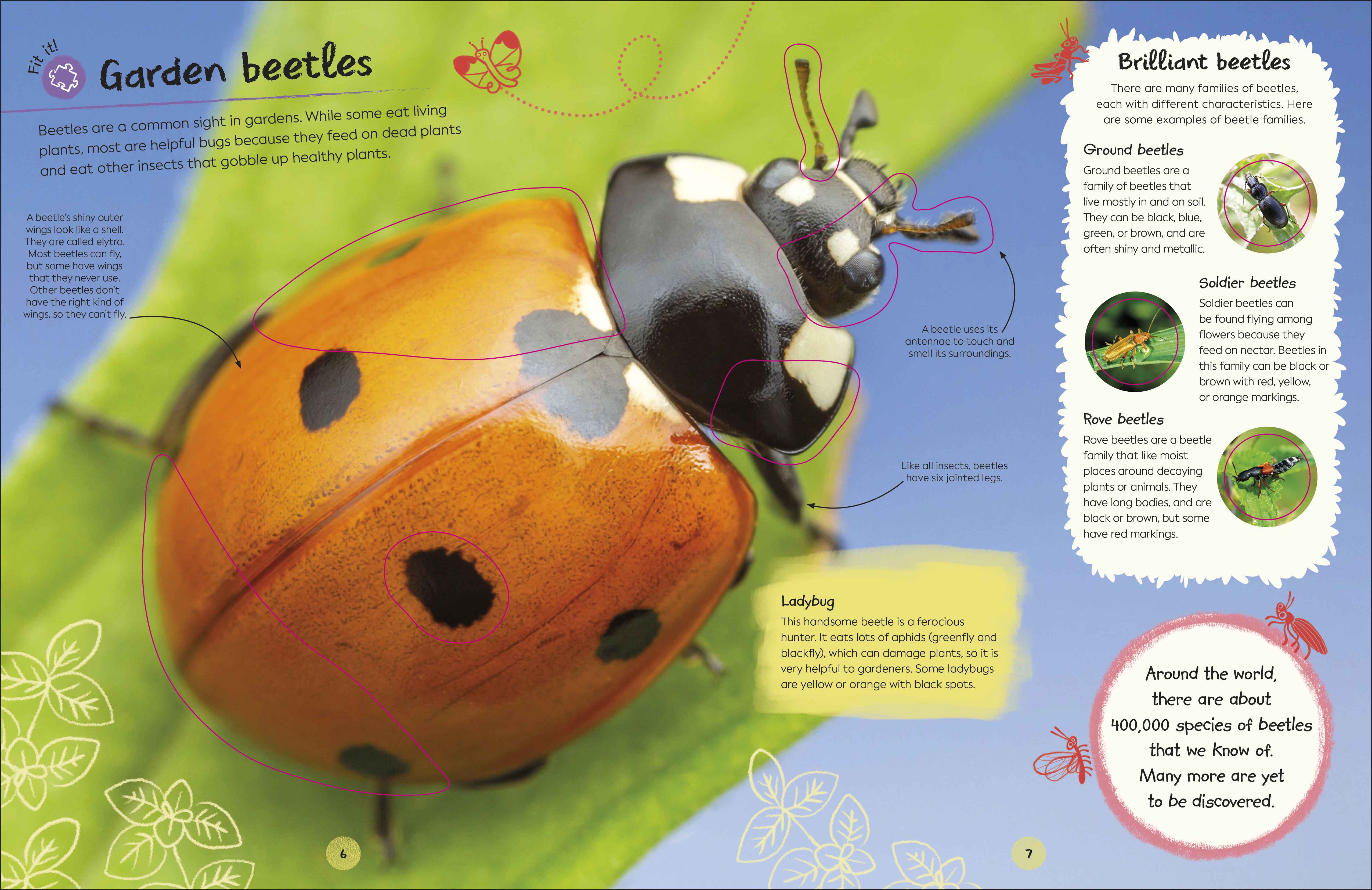 Ultimate Sticker Book Garden Bugs - Image 2