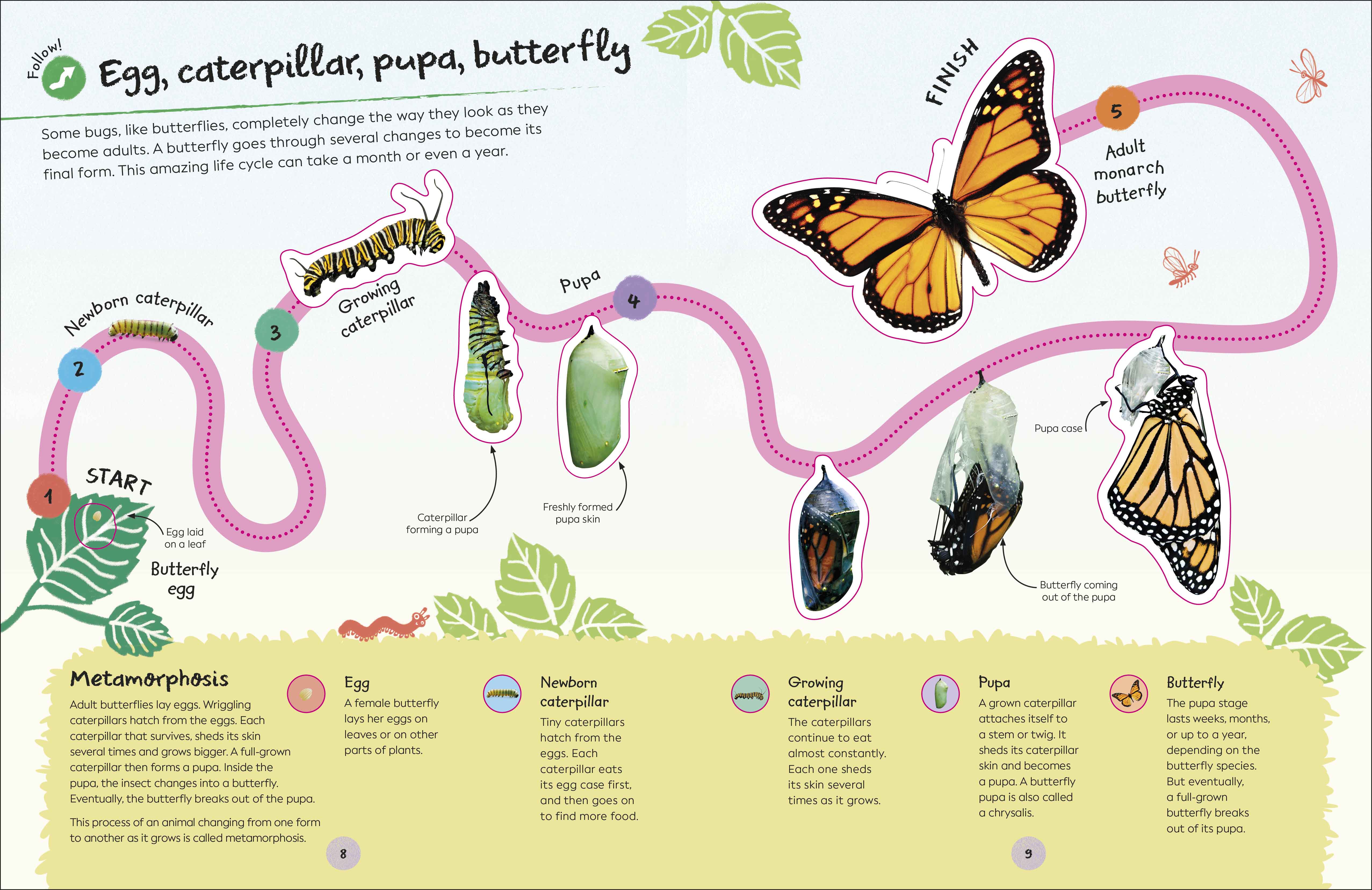Ultimate Sticker Book Garden Bugs - Image 4