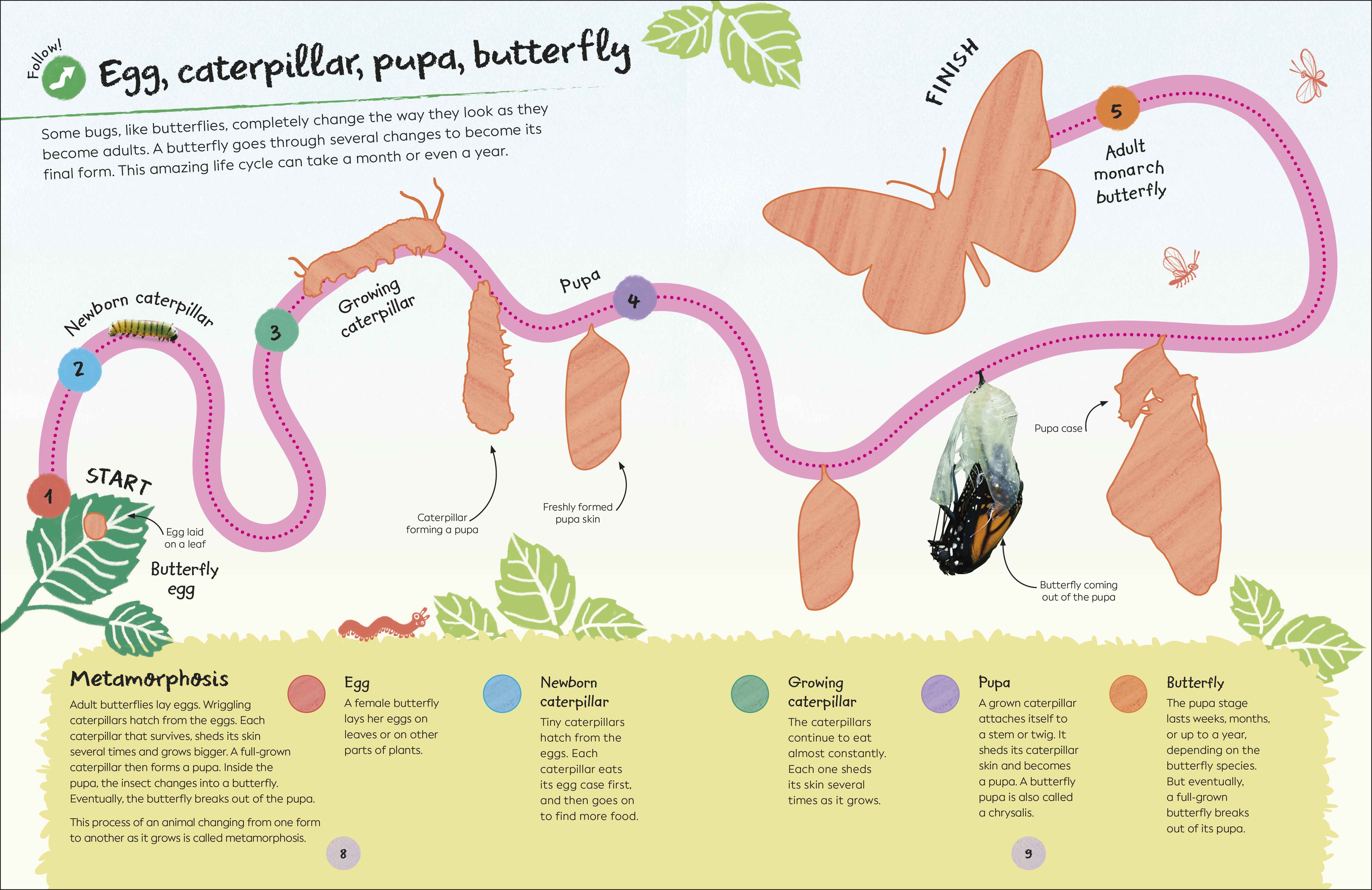 Ultimate Sticker Book Garden Bugs - Image 5