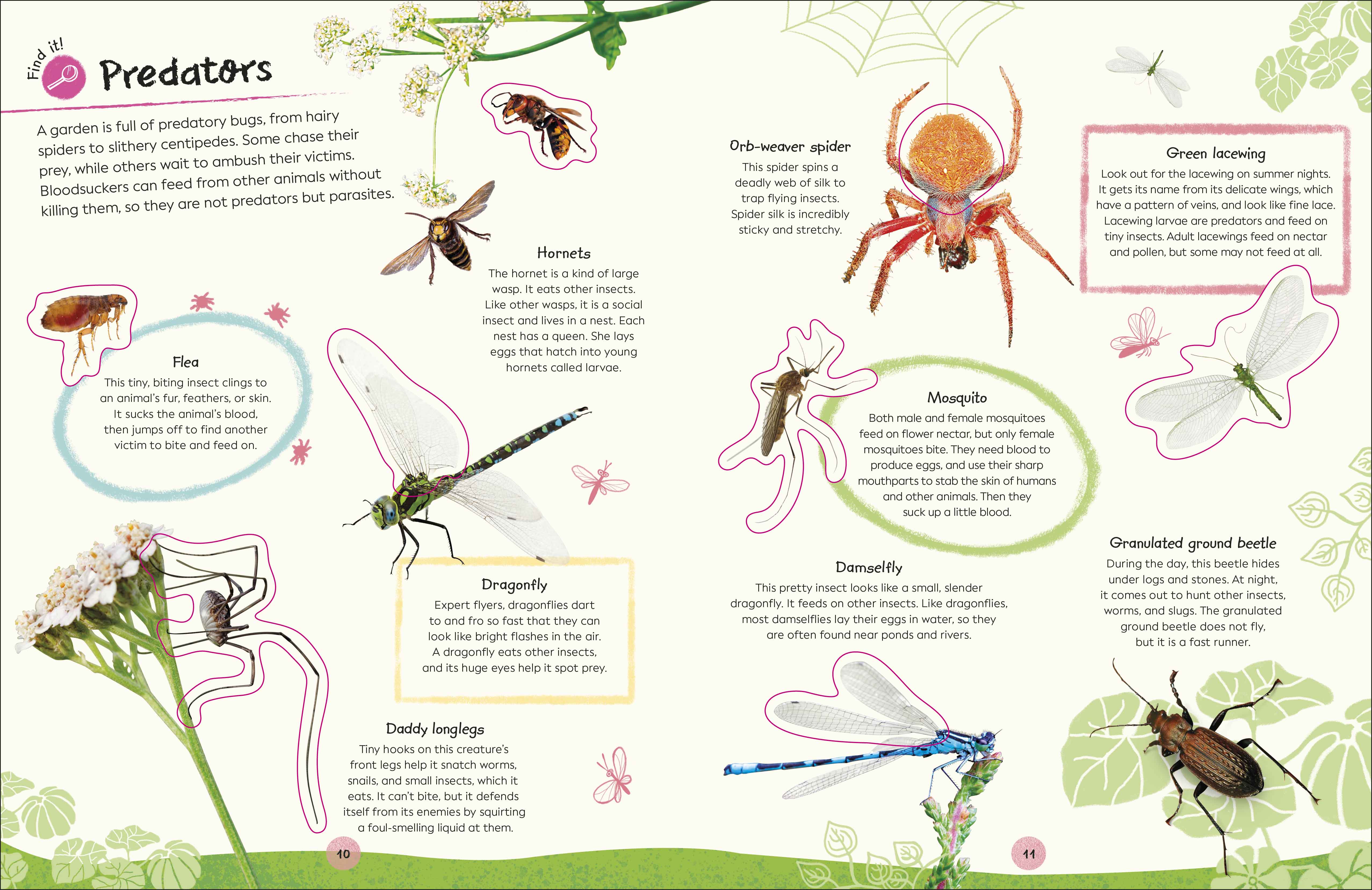 Ultimate Sticker Book Garden Bugs - Image 6