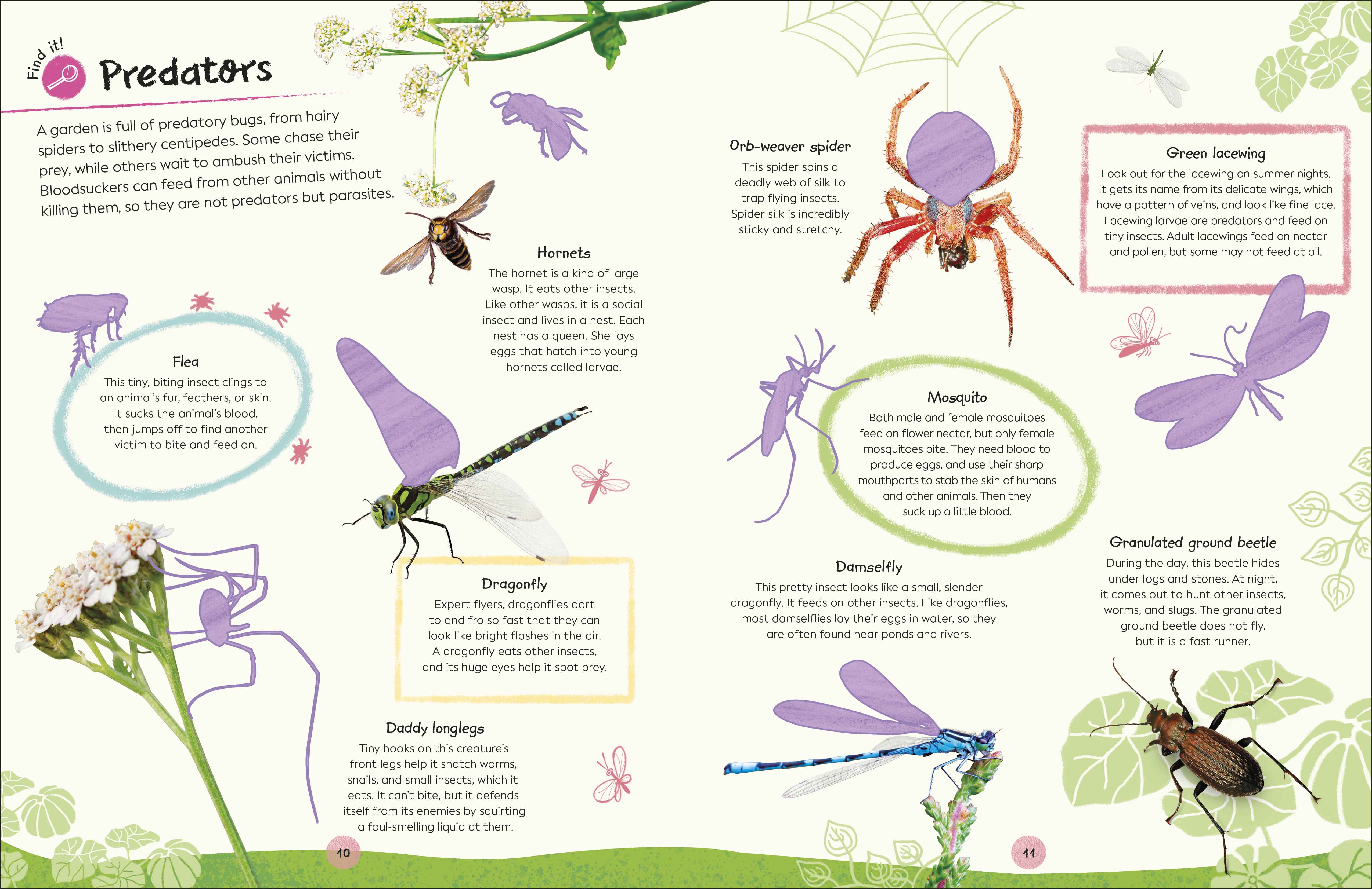 Ultimate Sticker Book Garden Bugs - Image 7