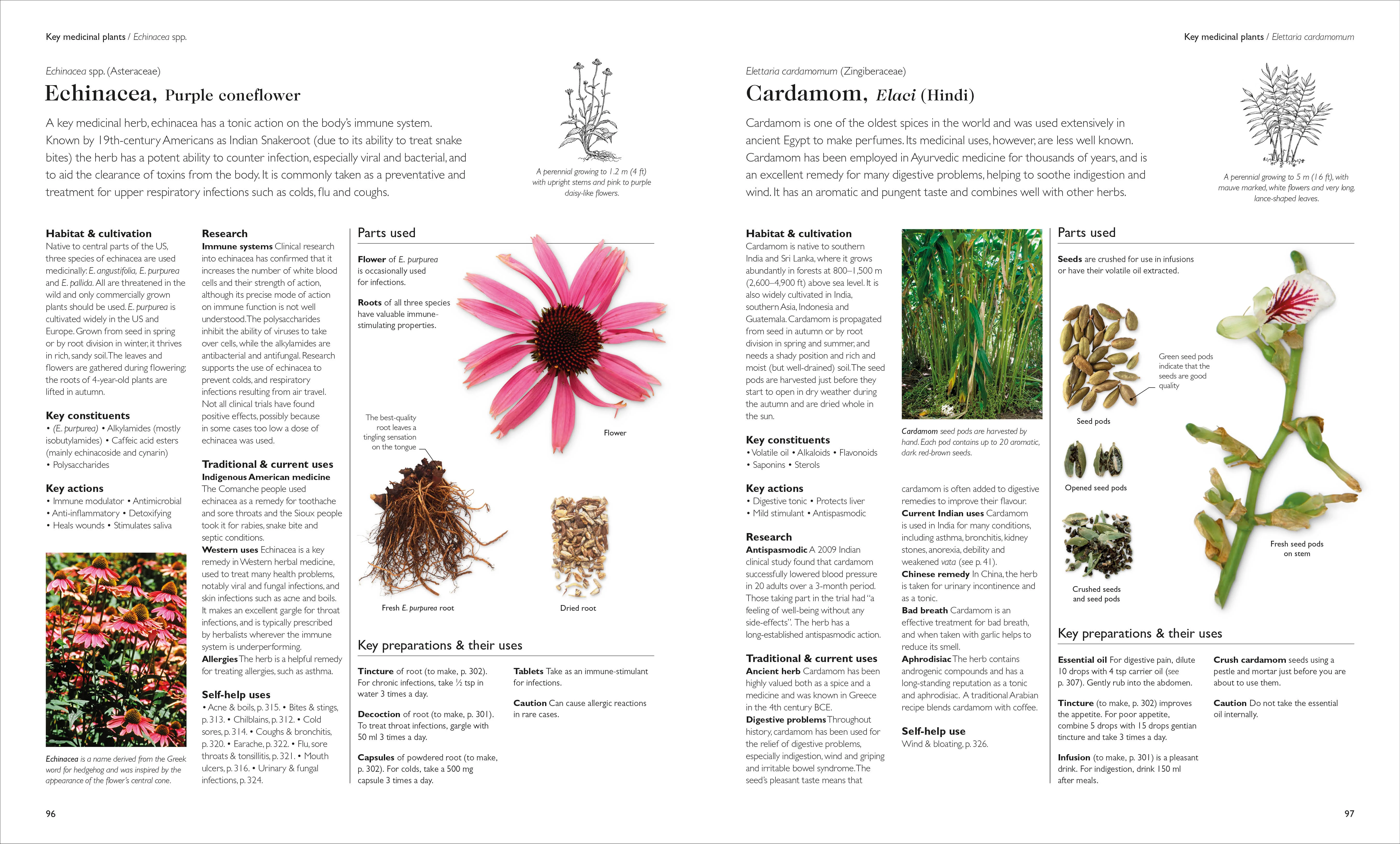 Encyclopedia of Herbal Medicine New Edition - Image 10