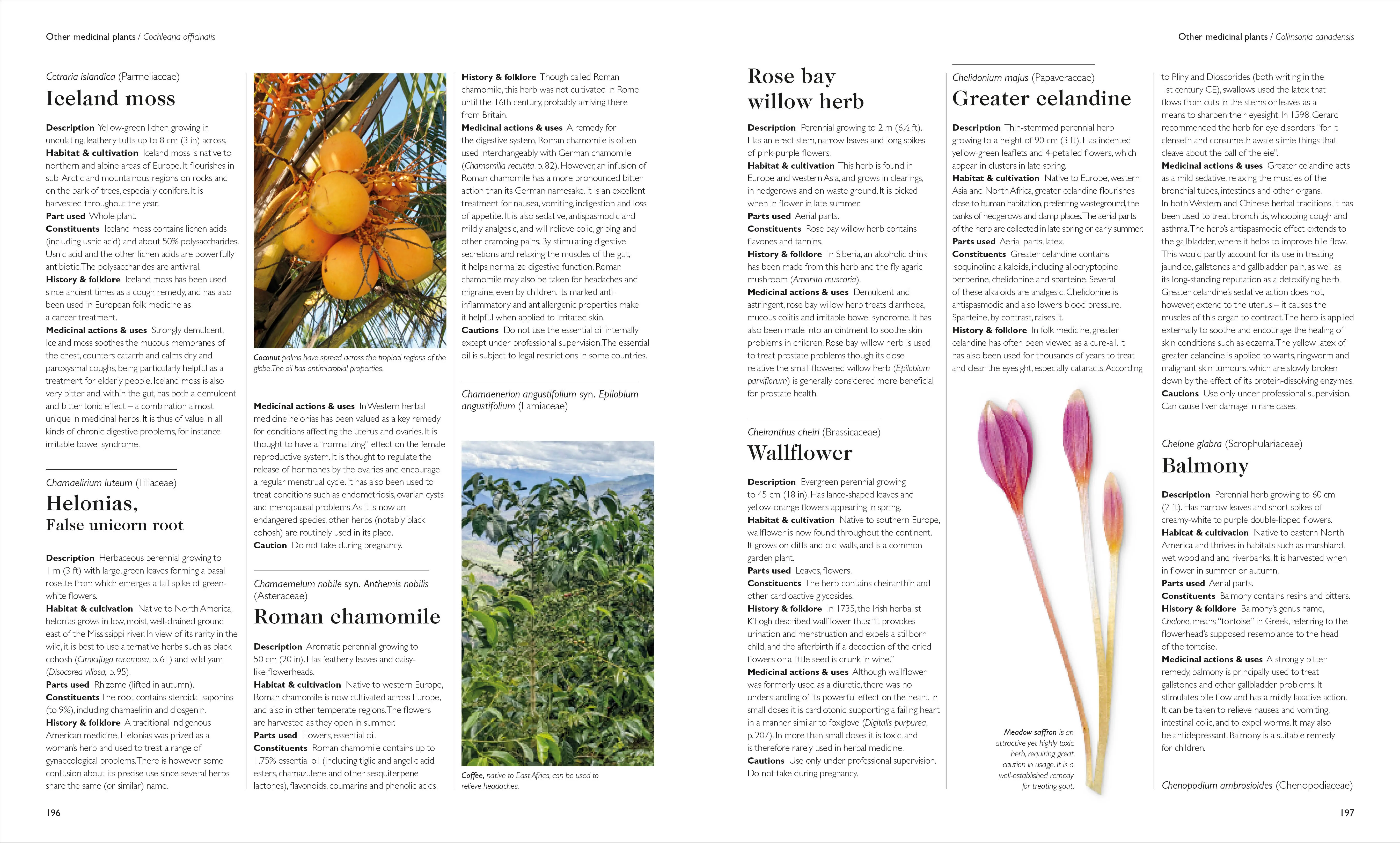 Encyclopedia of Herbal Medicine New Edition - Image 12