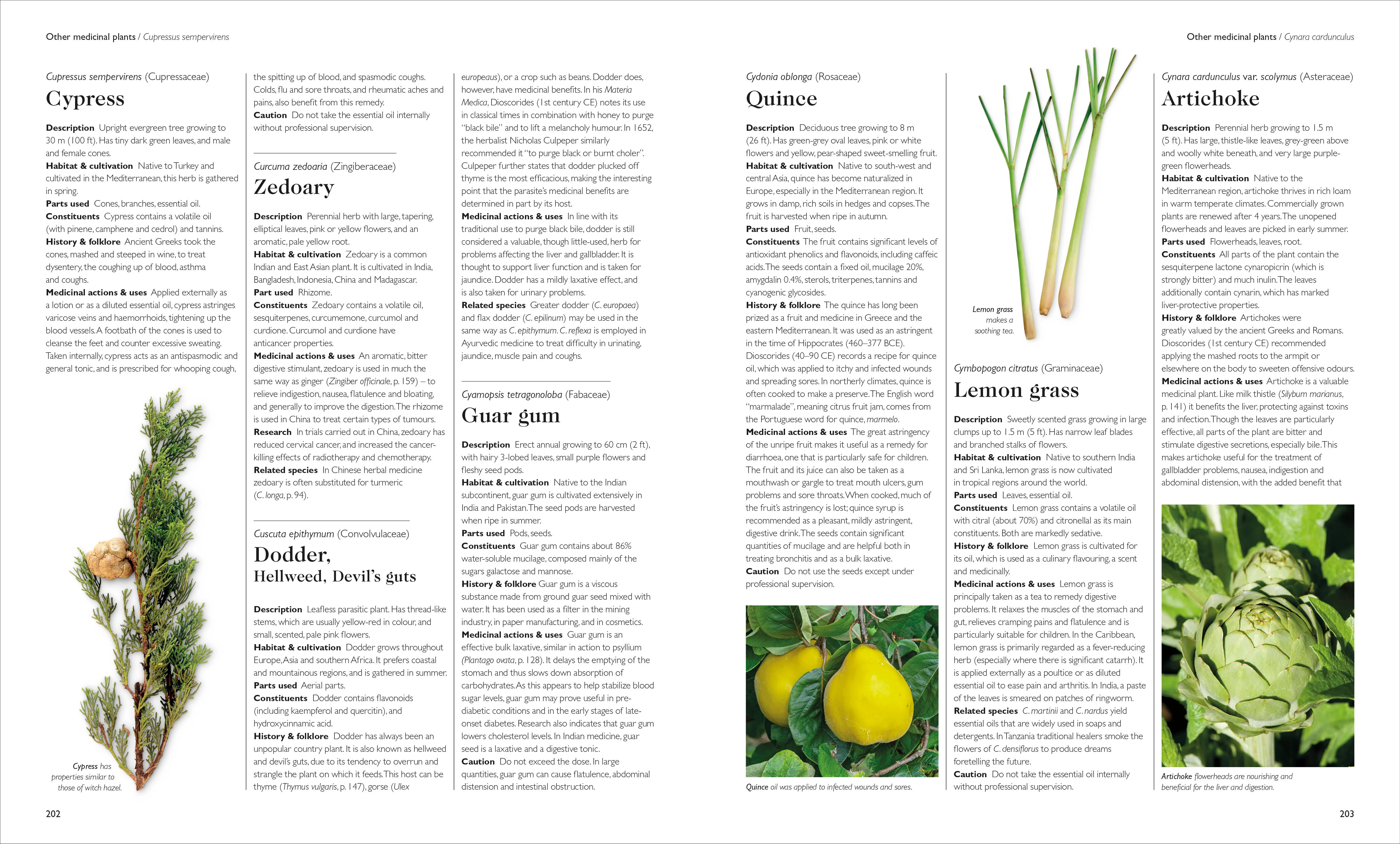 Encyclopedia of Herbal Medicine New Edition - Image 13