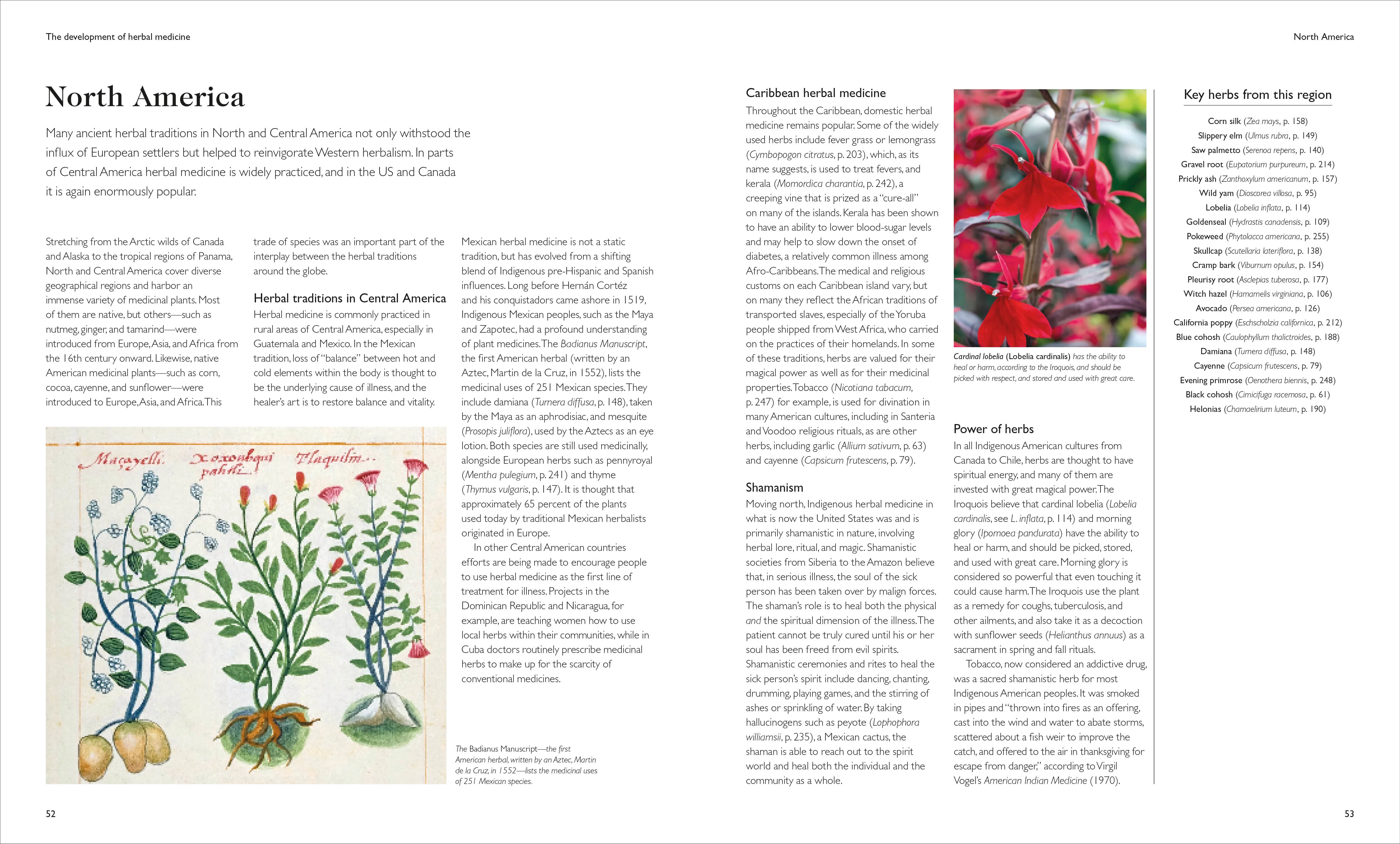 Encyclopedia of Herbal Medicine New Edition - Image 3