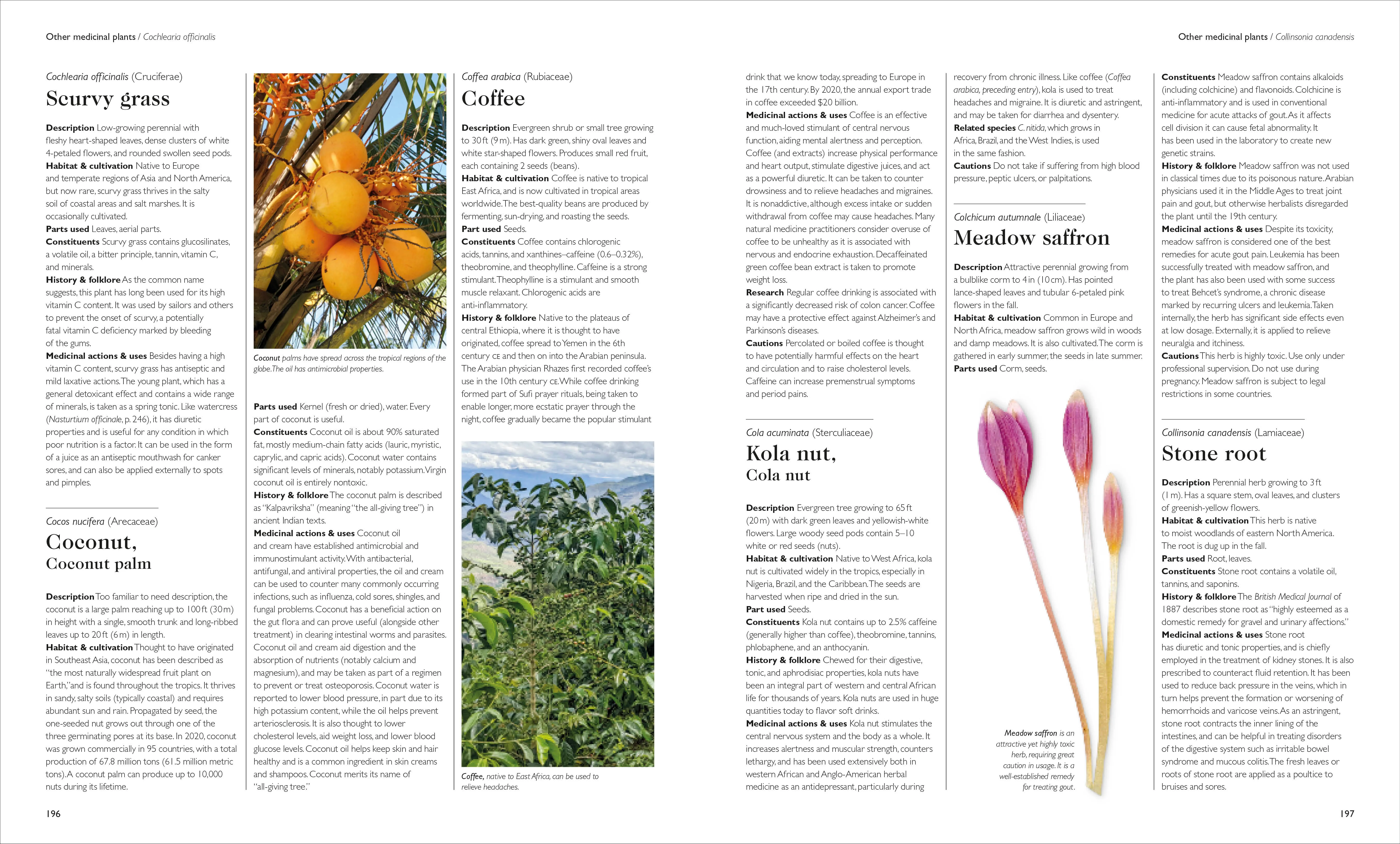 Encyclopedia of Herbal Medicine New Edition - Image 6