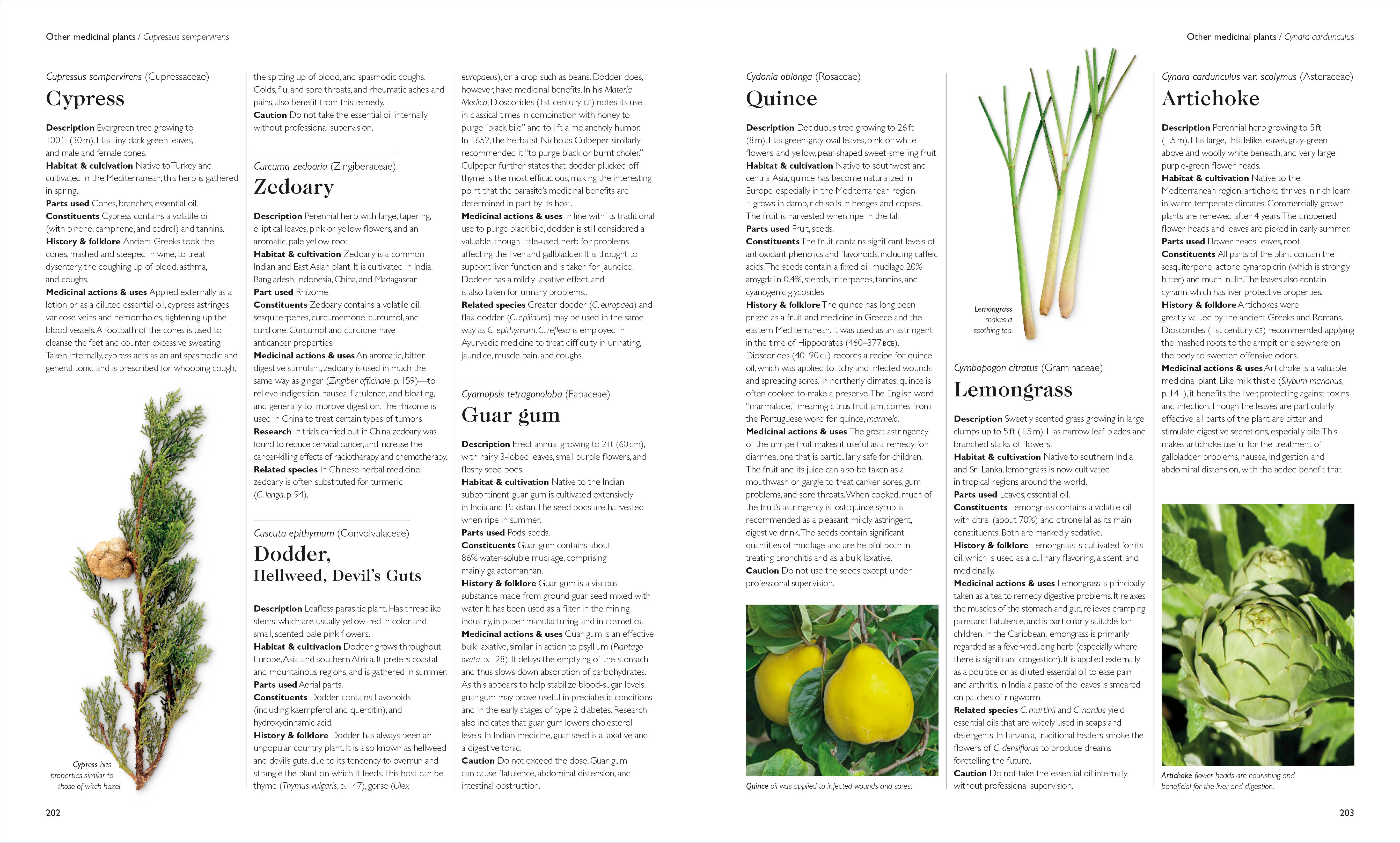 Encyclopedia of Herbal Medicine New Edition - Image 7