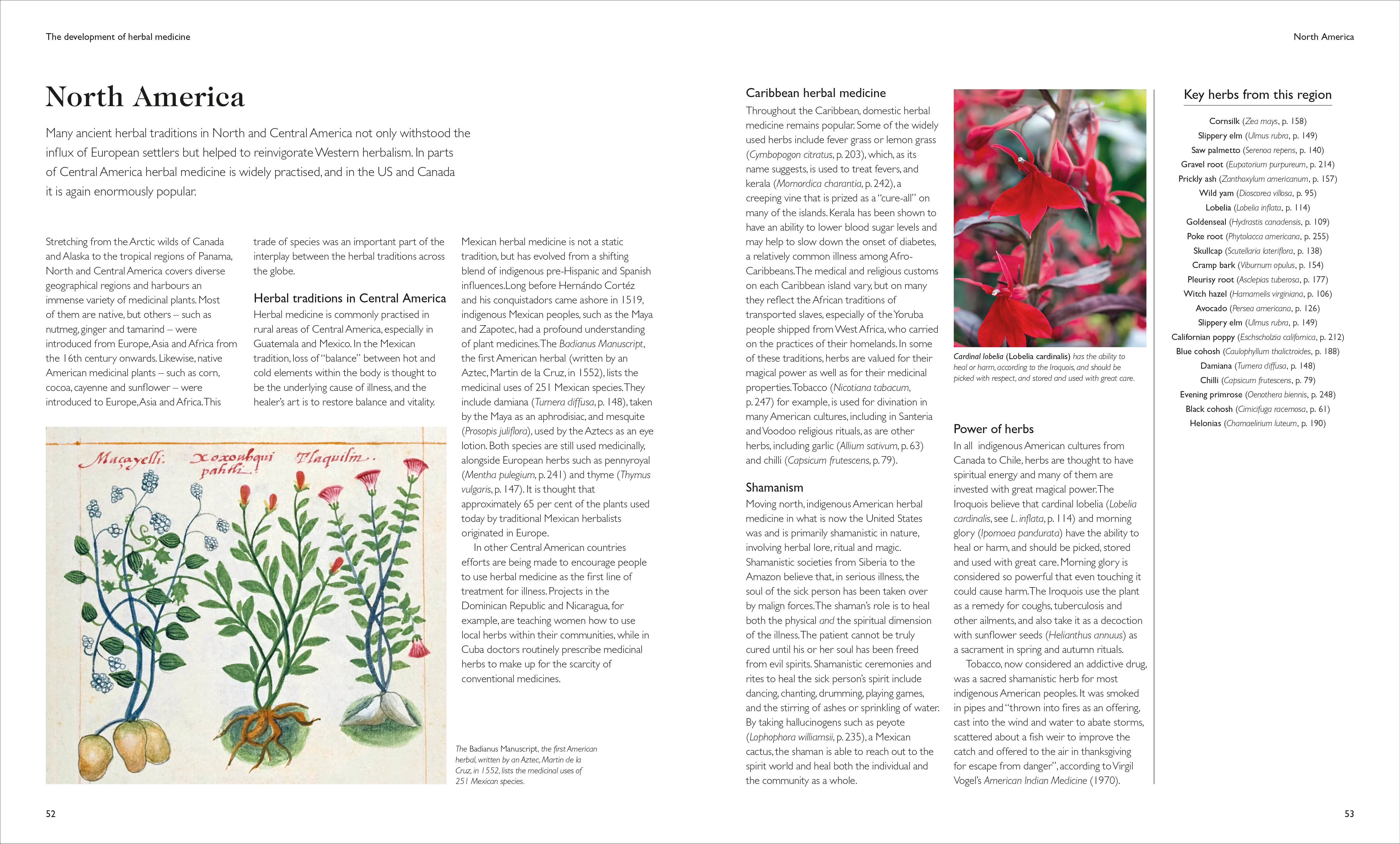 Encyclopedia of Herbal Medicine New Edition - Image 9
