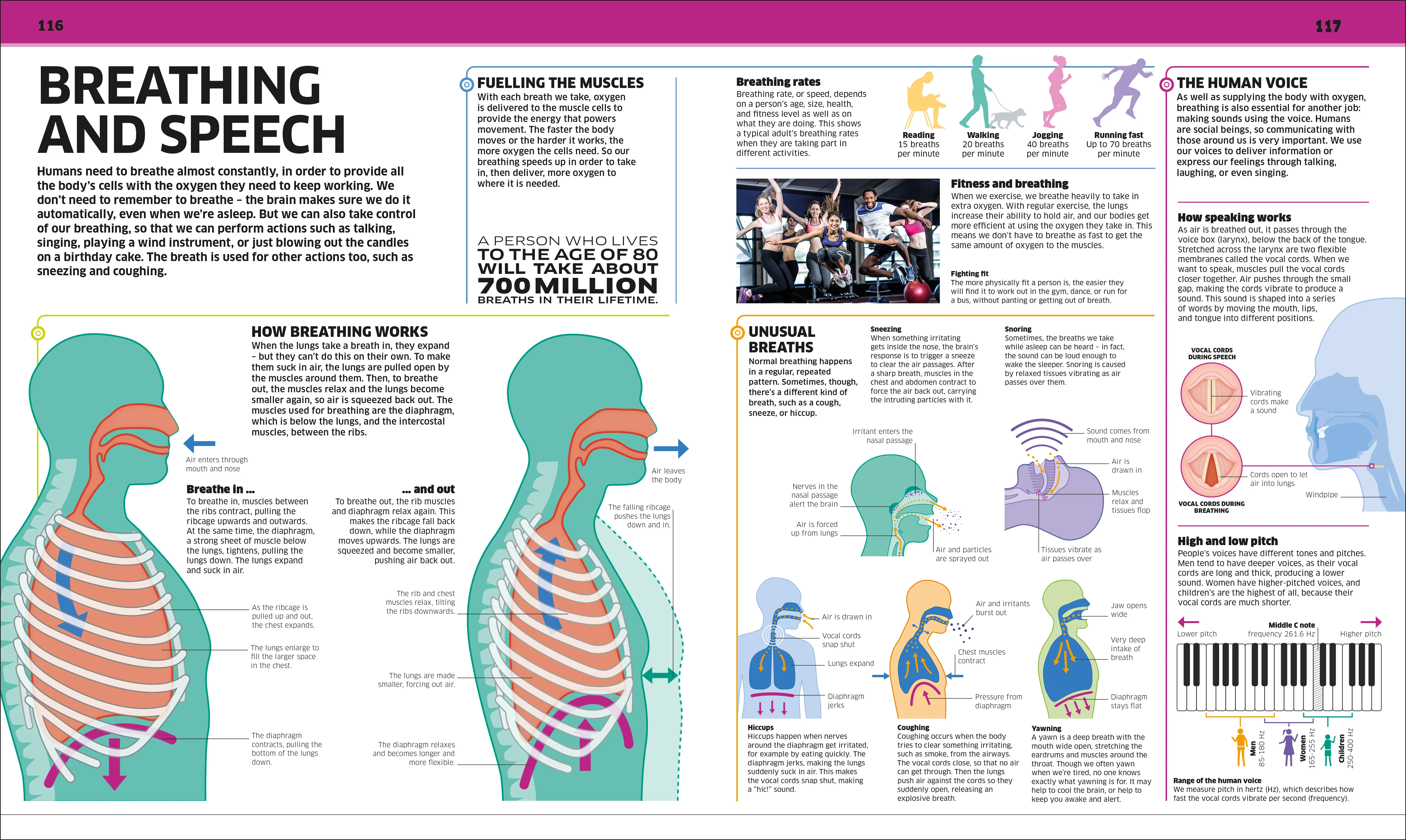Science! Encyclopedias for Kids - Image 3