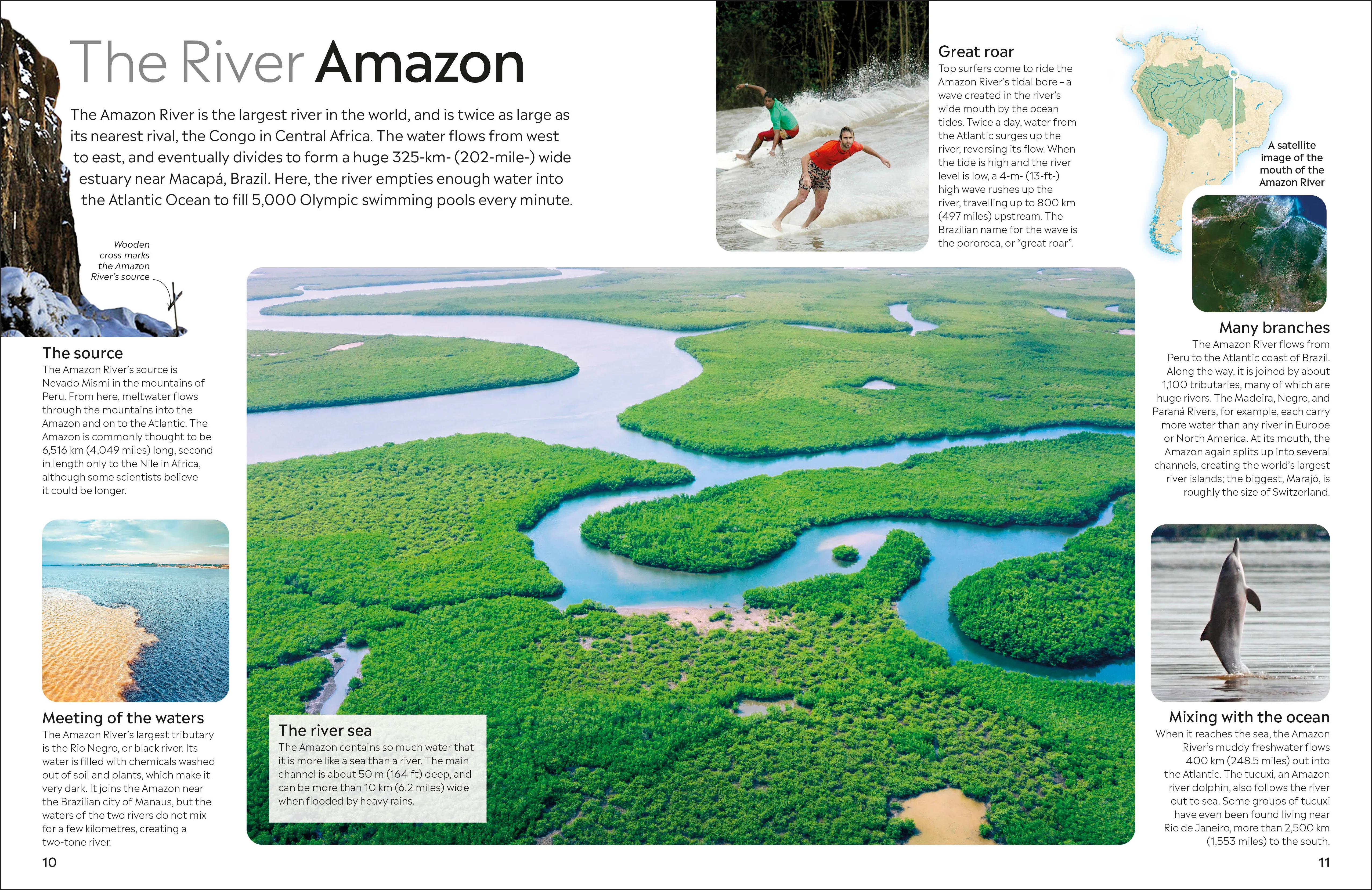 Amazon - Image 2