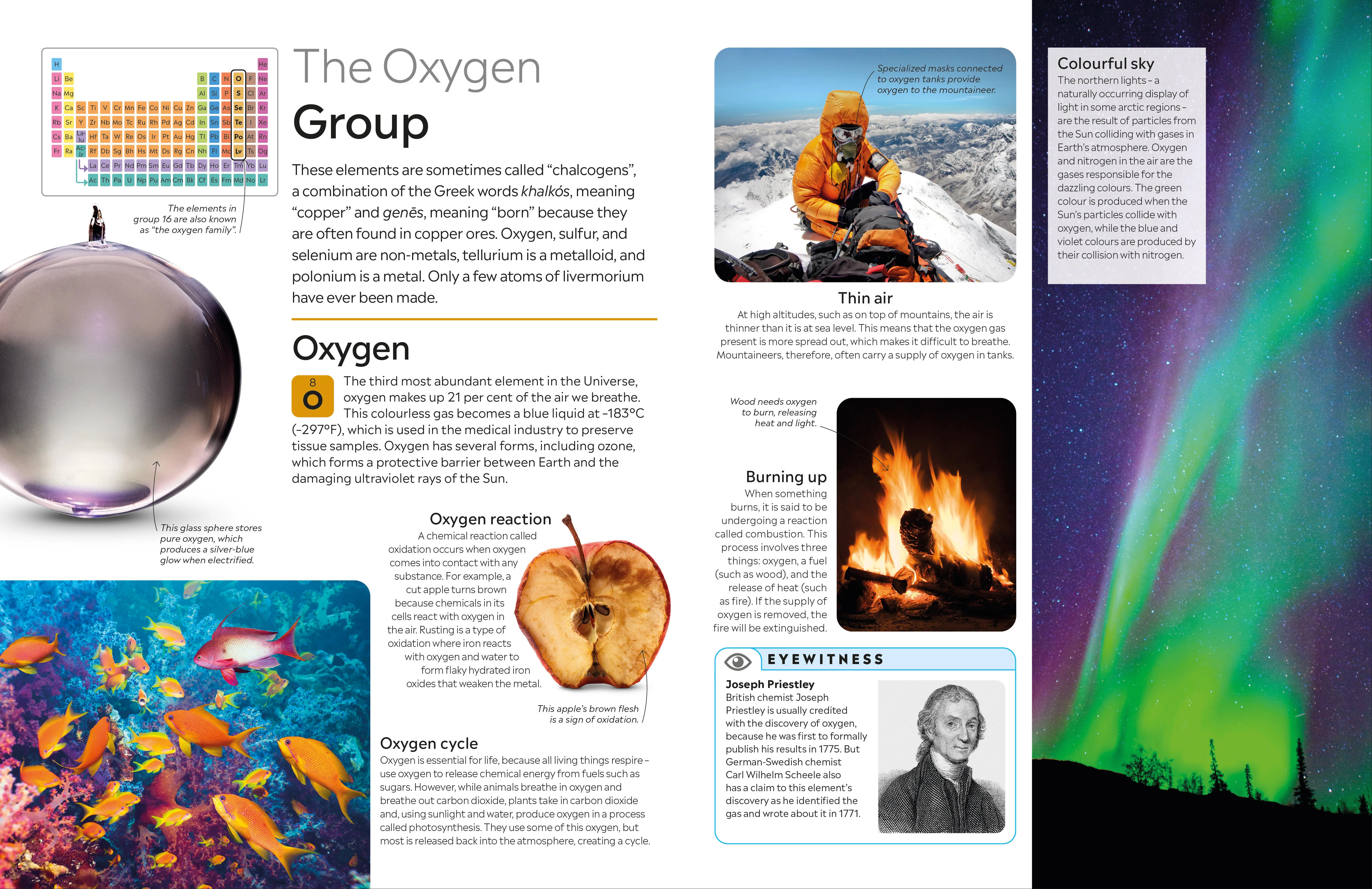 The Elements - Image 9