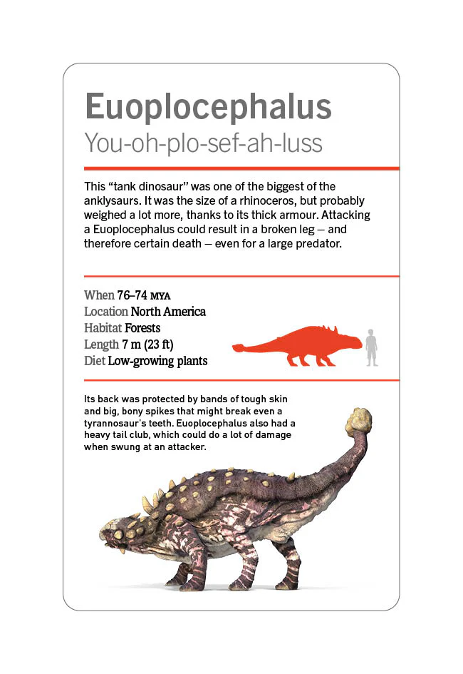 Our World in Pictures Dinosaurs and Other Prehistoric Creatures Flash Cards - Image 17