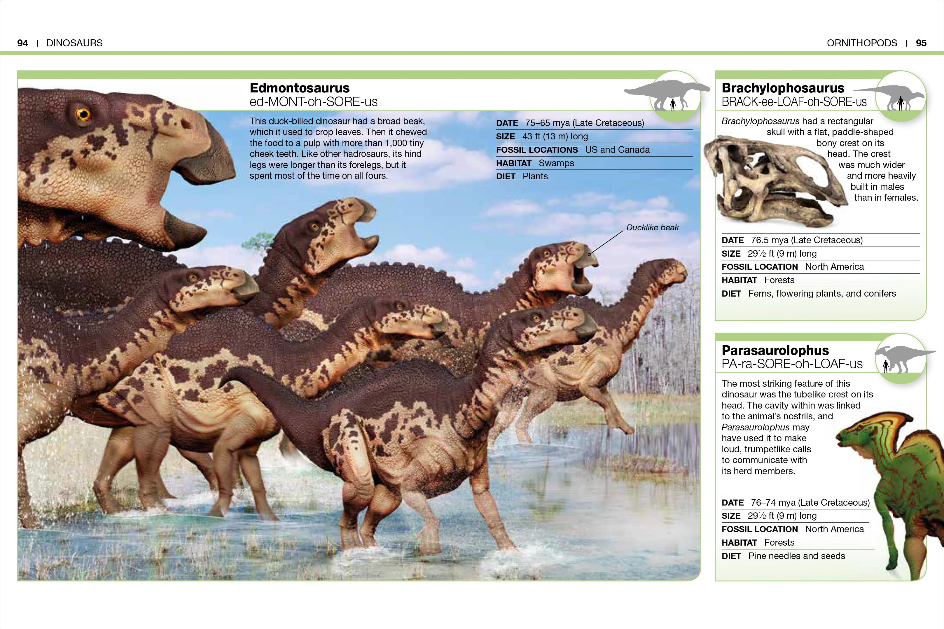 Pocket Genius Nature Collection Box Set - Image 3