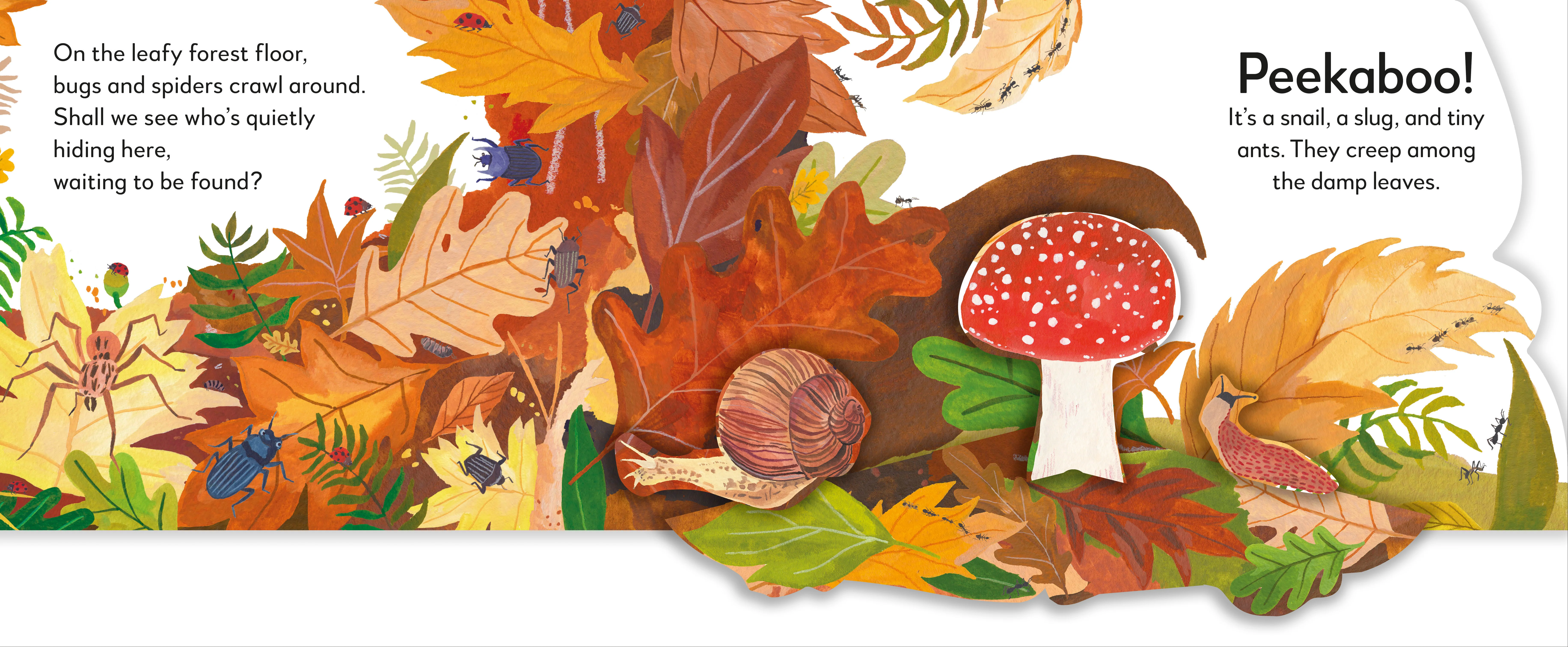 Pop-Up Peekaboo! Forest - Image 9