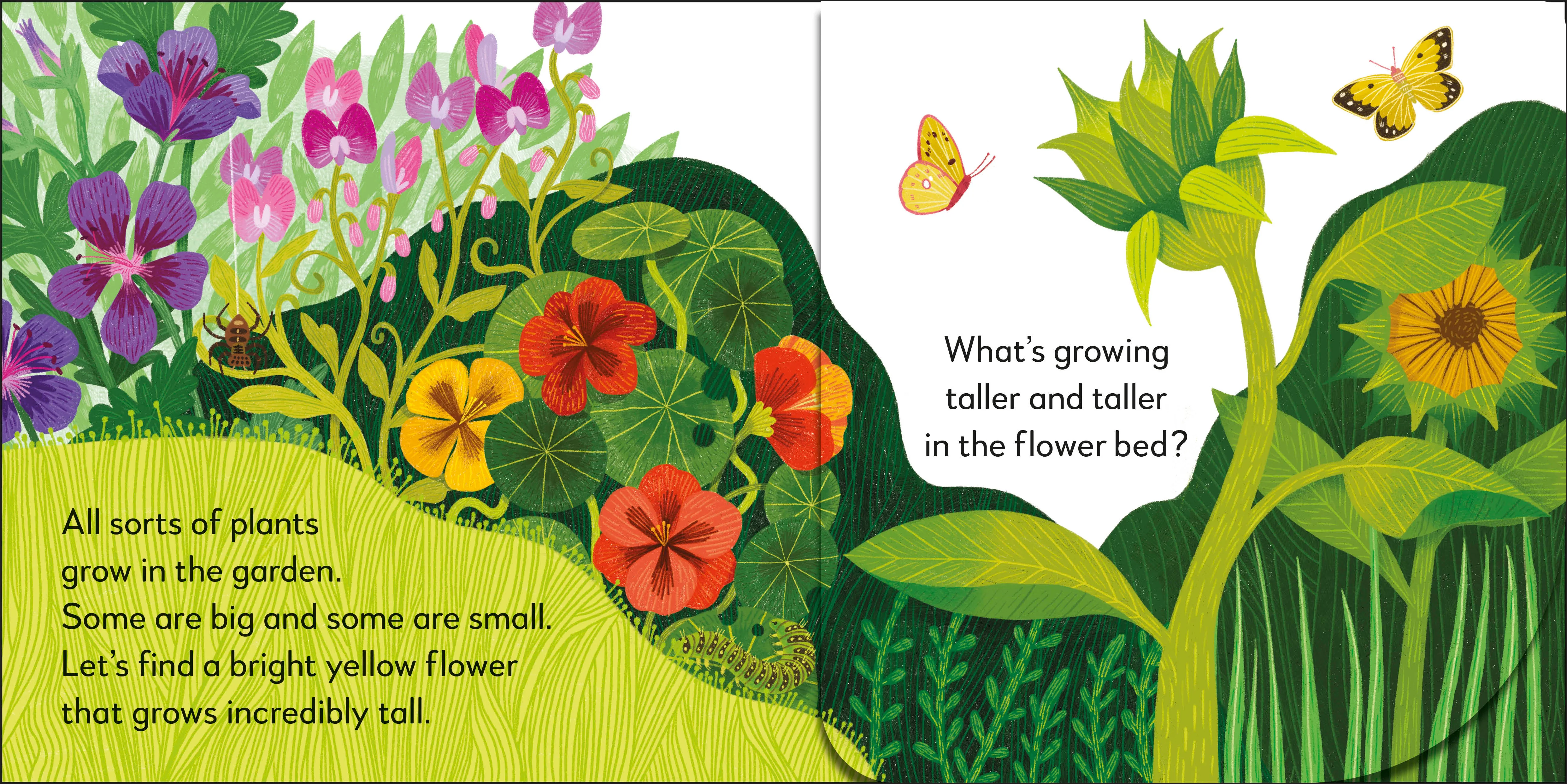 Pop-Up Peekaboo! Garden - Image 2