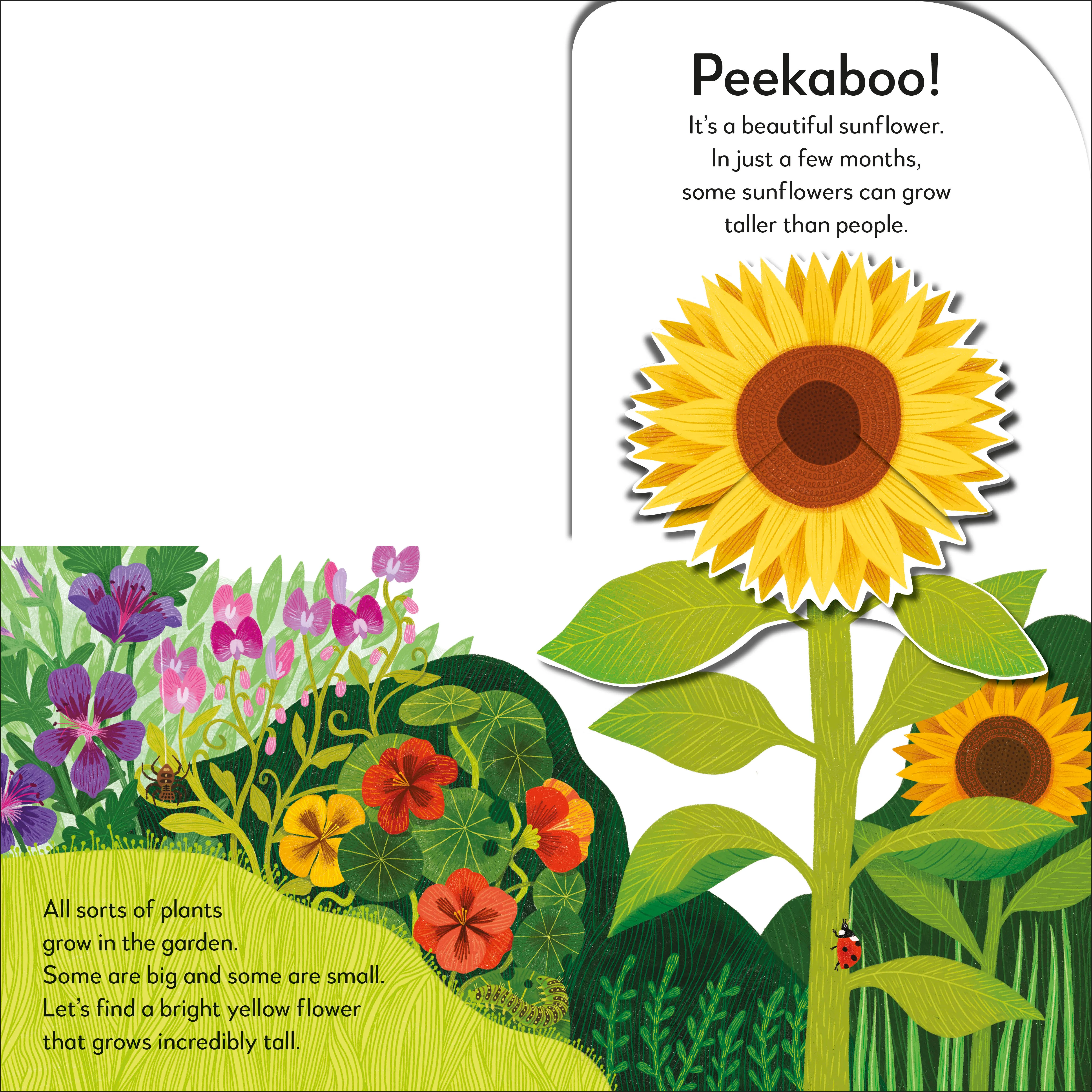 Pop-Up Peekaboo! Garden - Image 3